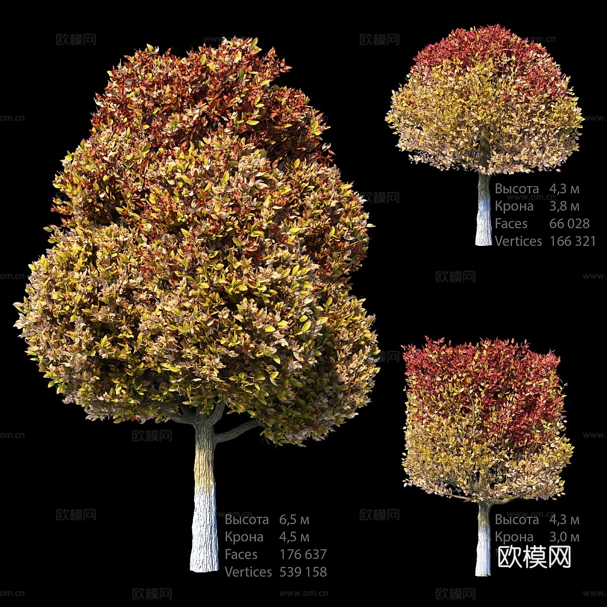 秋季套装3d模型