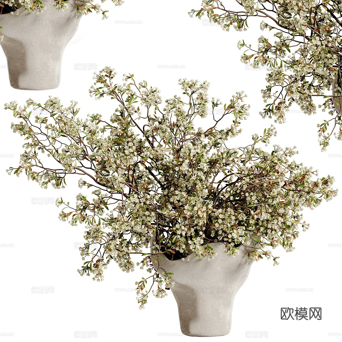 植物花束花瓶 483d模型