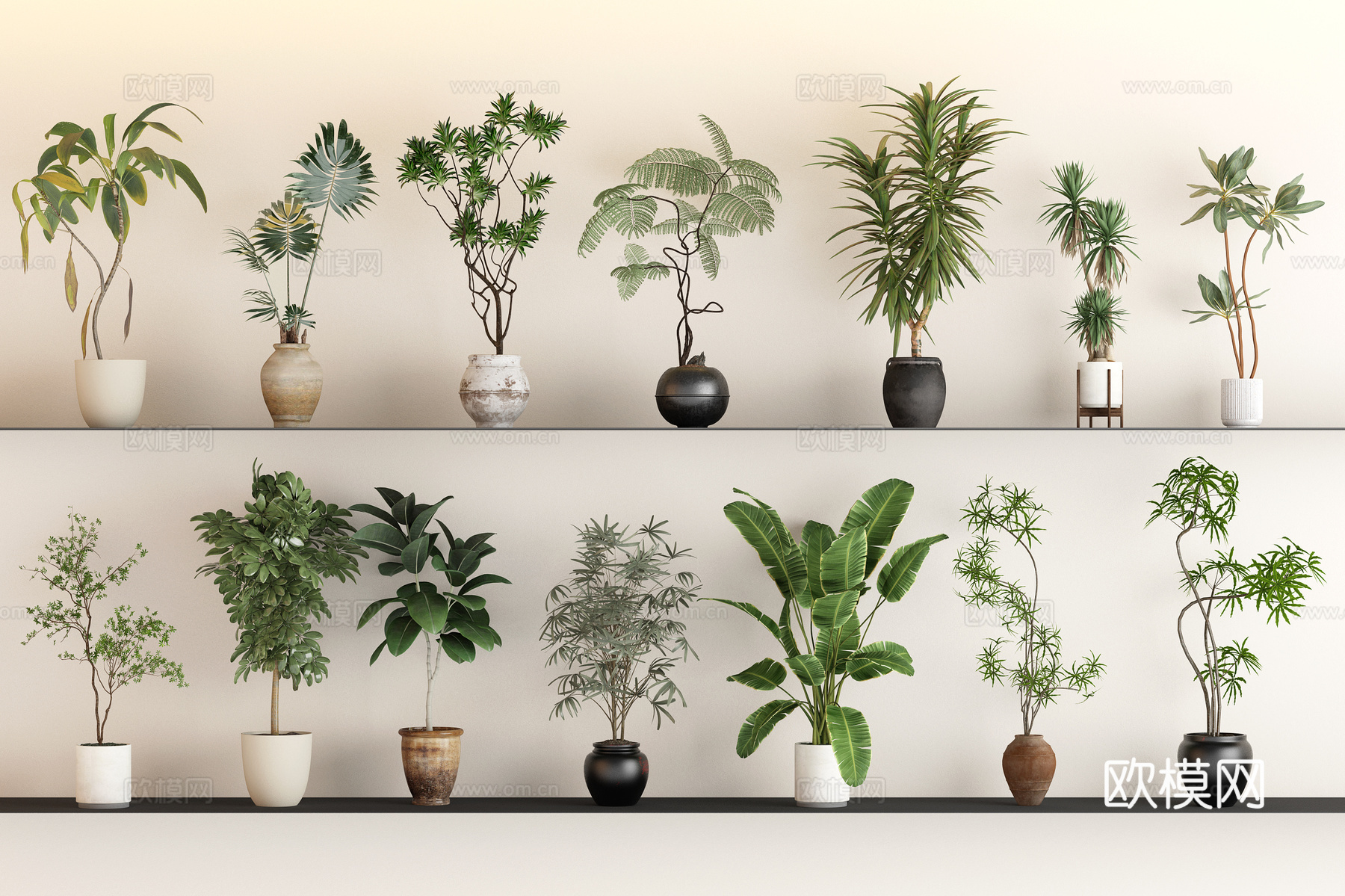 绿植 绿植组合  盆栽  植物su模型