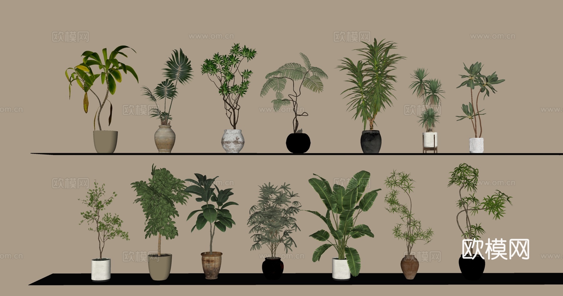 绿植 绿植组合  盆栽  植物su模型