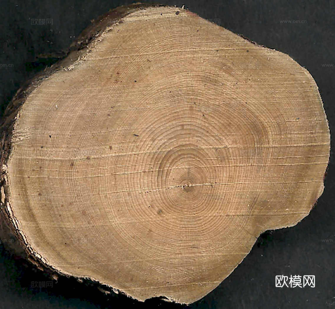 木纹 木材横截面