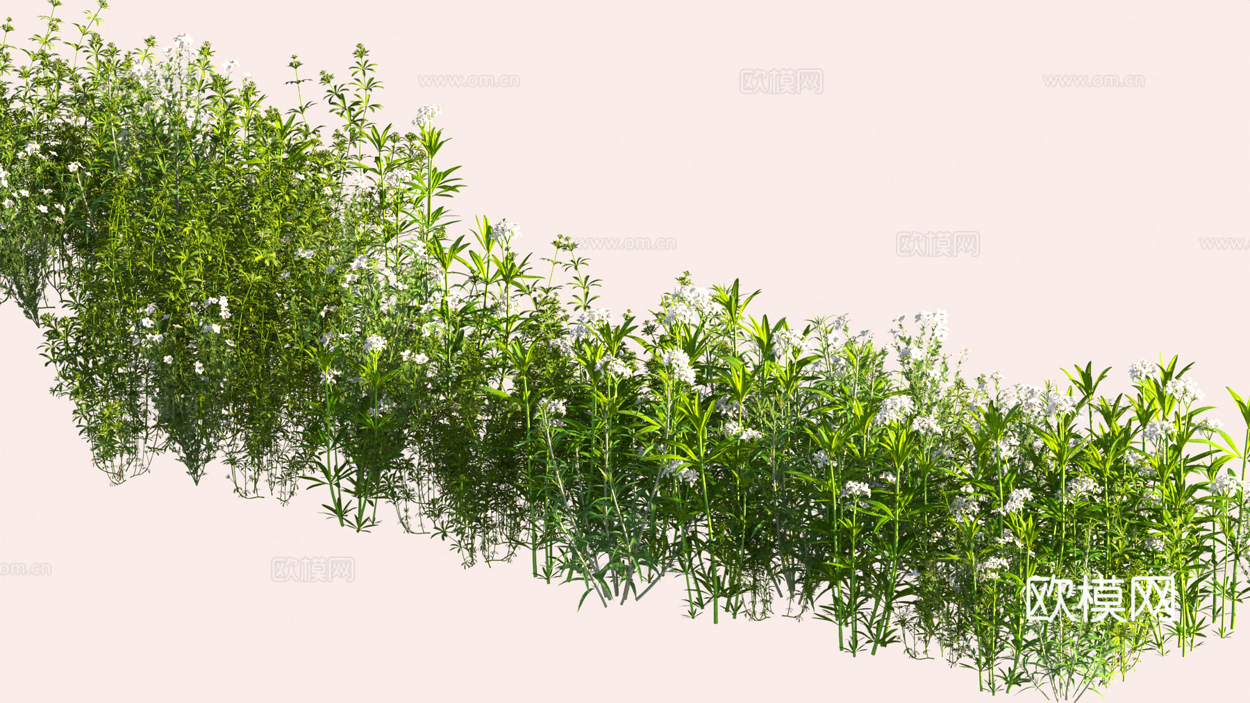 植物 花卉 花草 植物组合3d模型