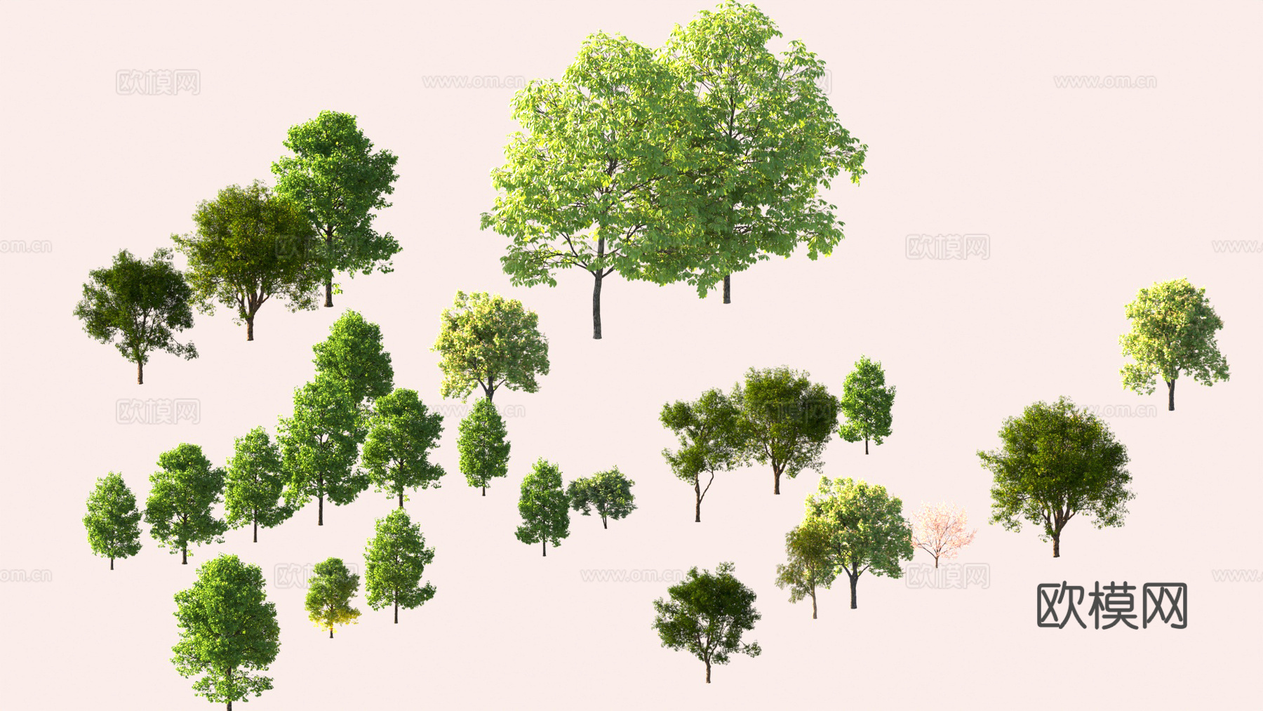 树木 乔木 景观树3d模型