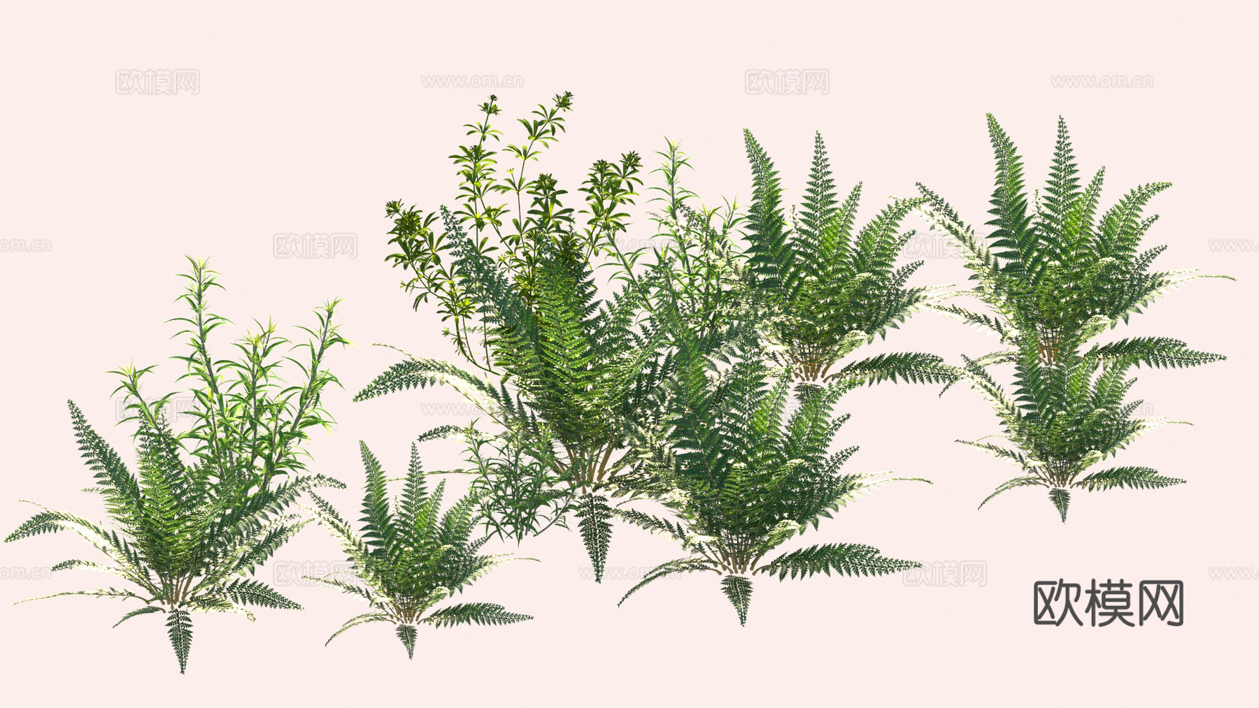 植物 花草 灌木3d模型