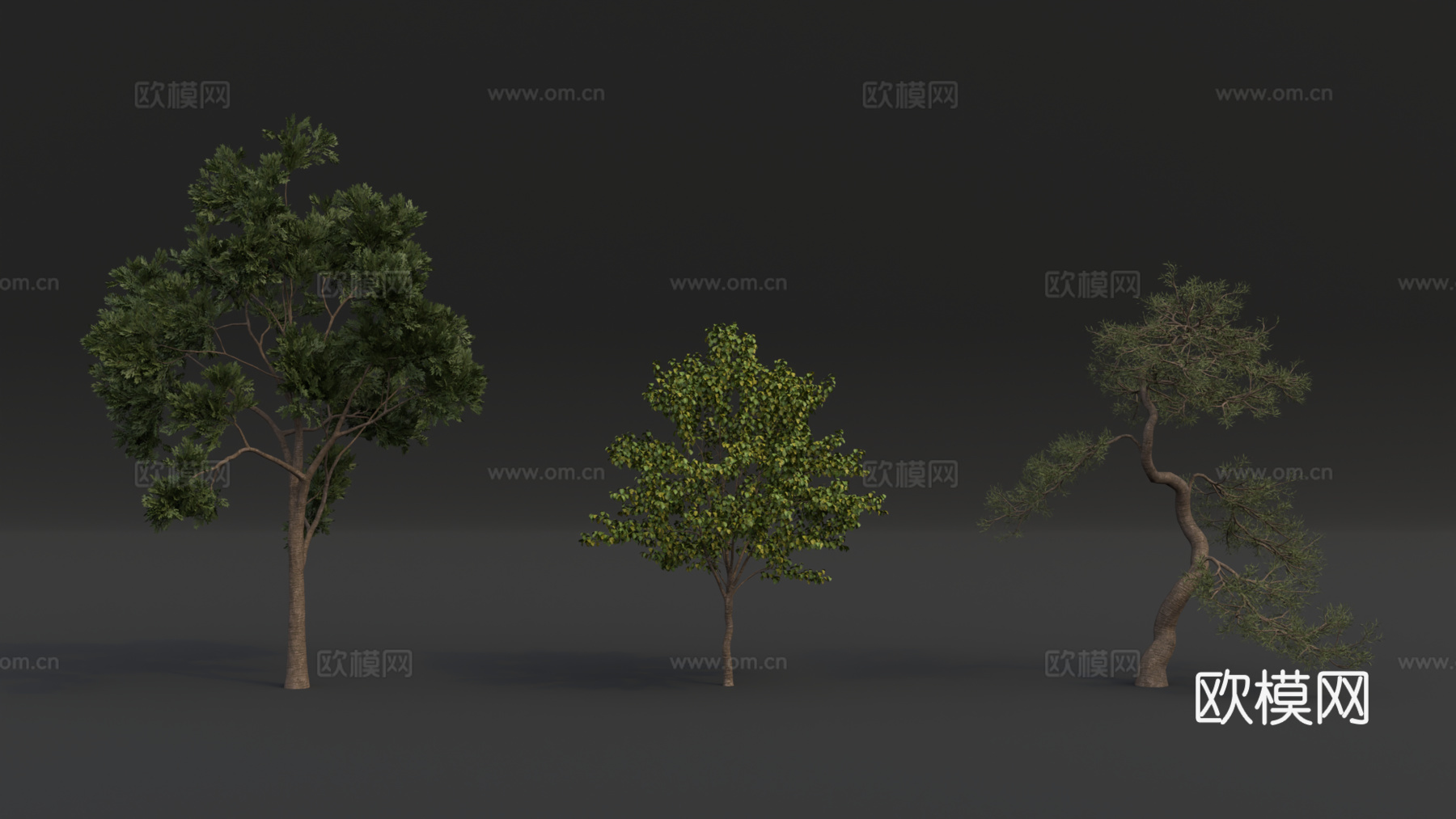 景观树 松树 树木 高精度树 行道树 大树su模型