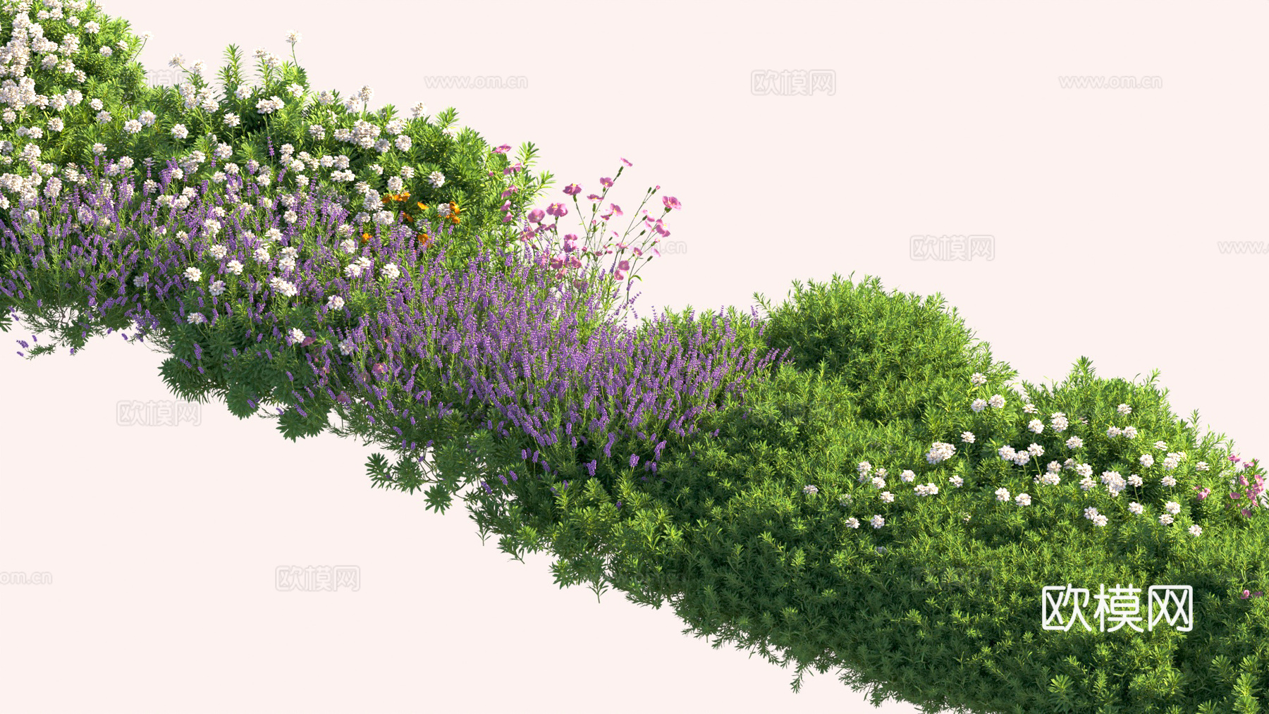 植物 花草 灌木 植物组合3d模型