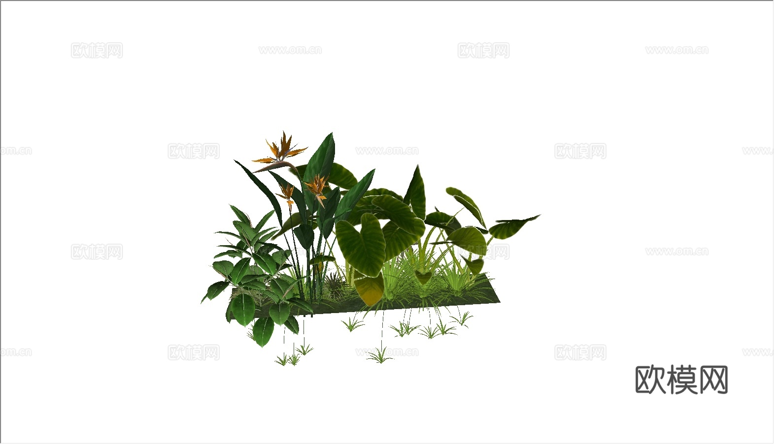 网红花草组合su模型