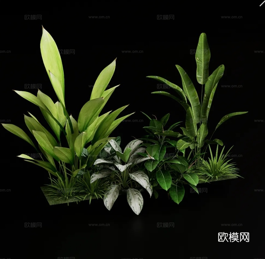 网红花草组合su模型