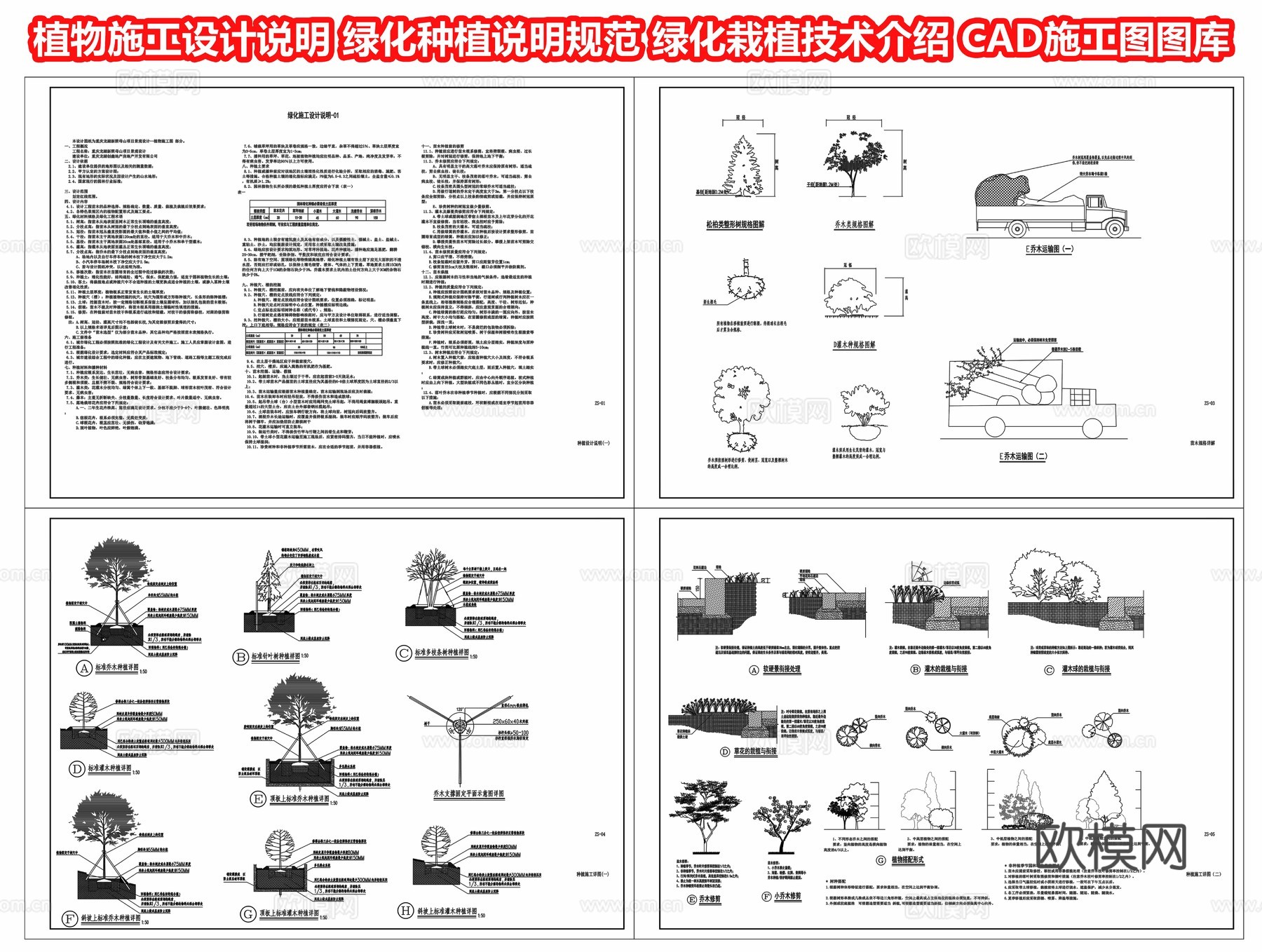 植物施工设计说明 绿化种植说明规范 绿化栽植技术介绍 CADcad施工图