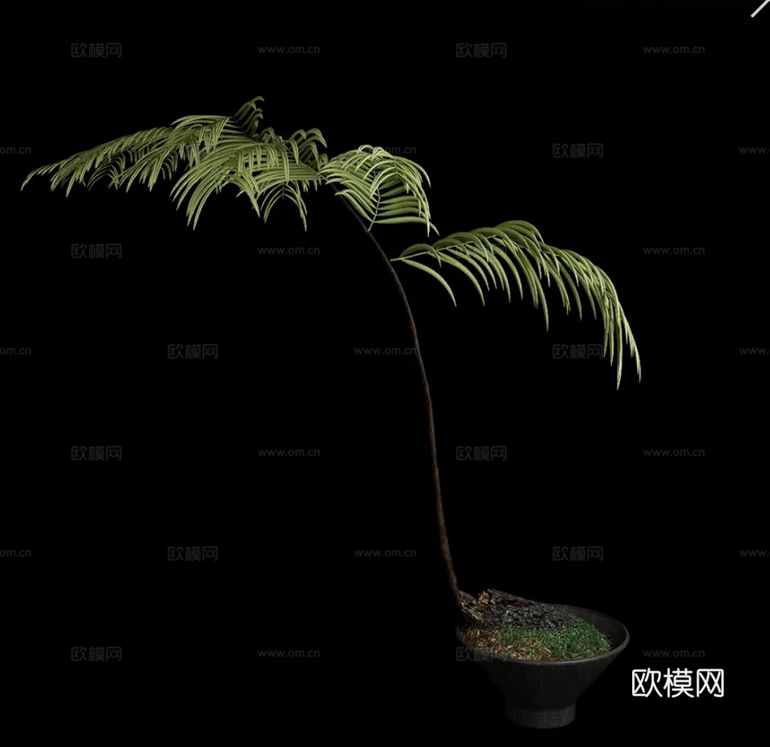 盆栽su模型