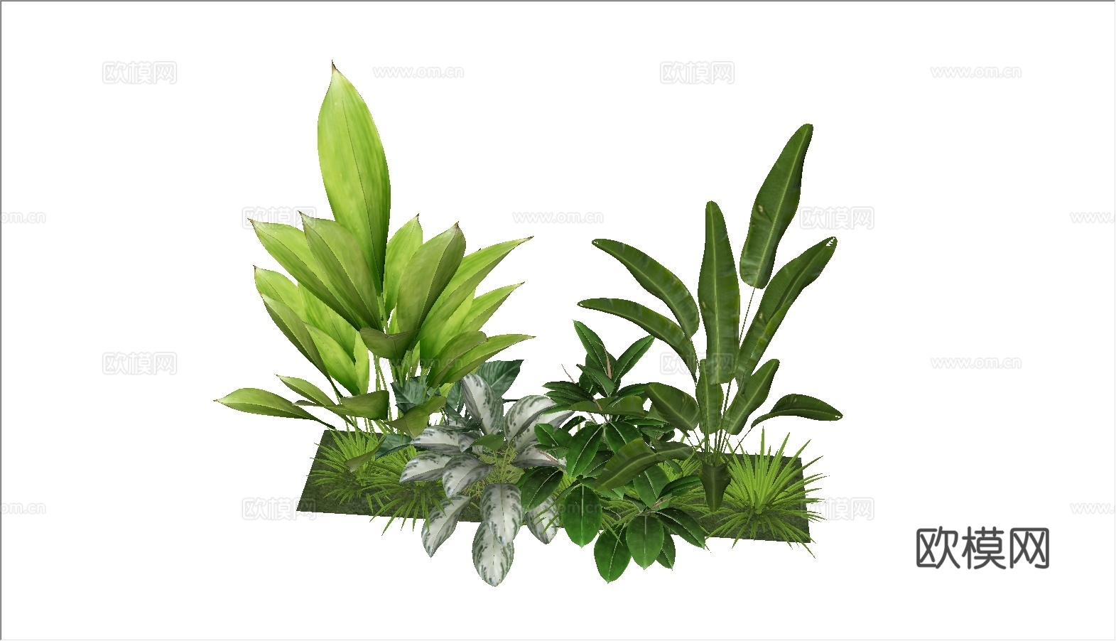网红花草组合su模型
