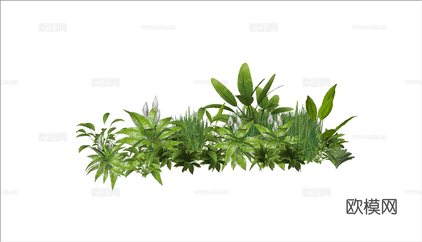 流行花草组合su模型