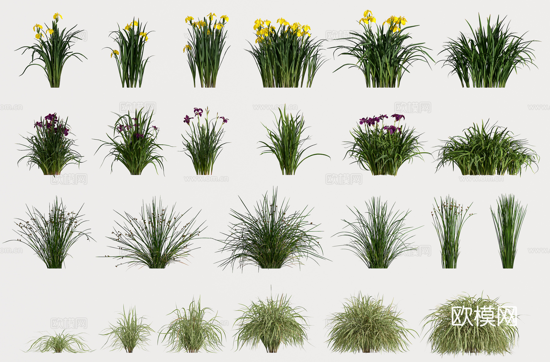 植物 花草3d模型