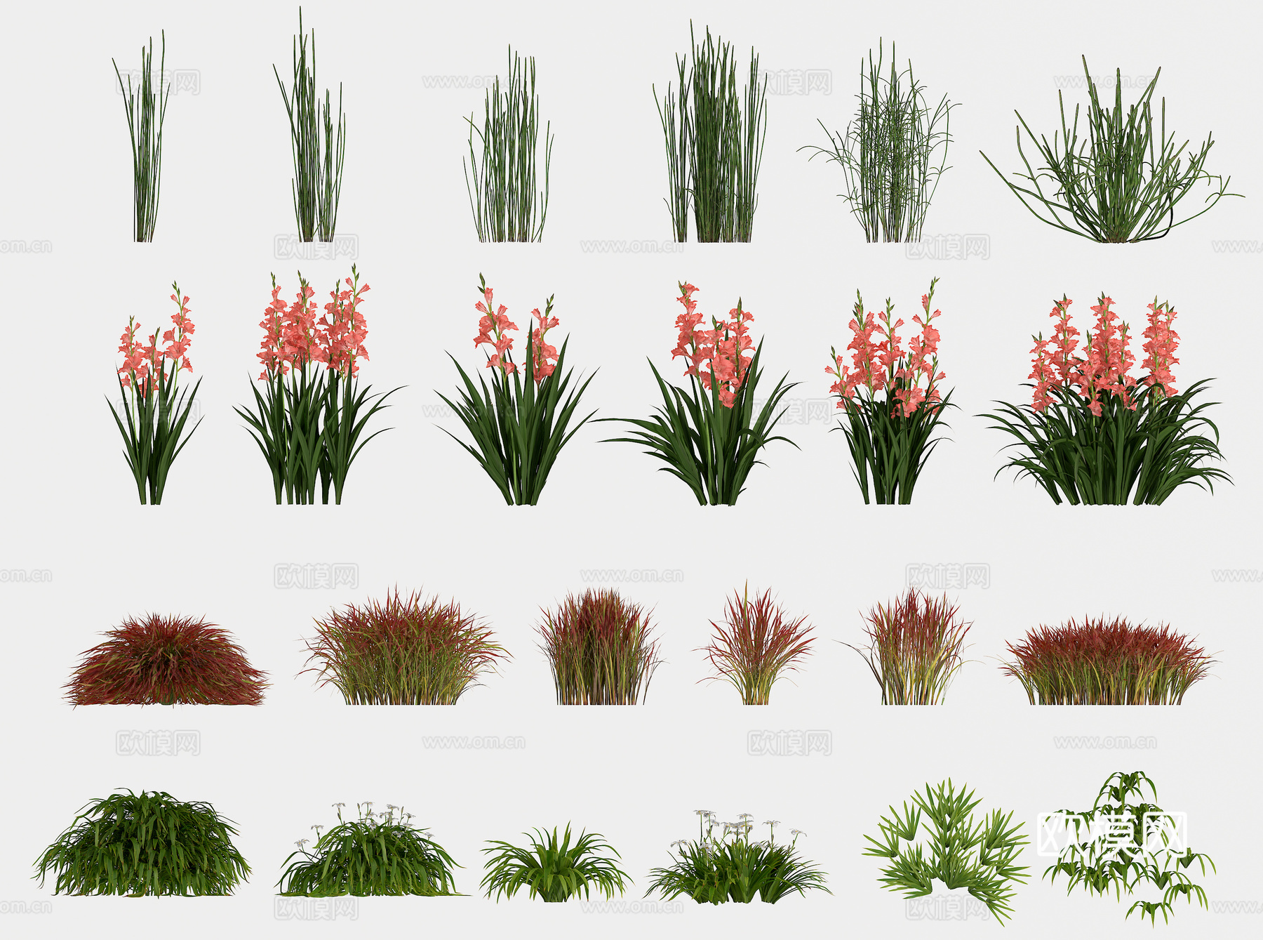 植物 花草3d模型