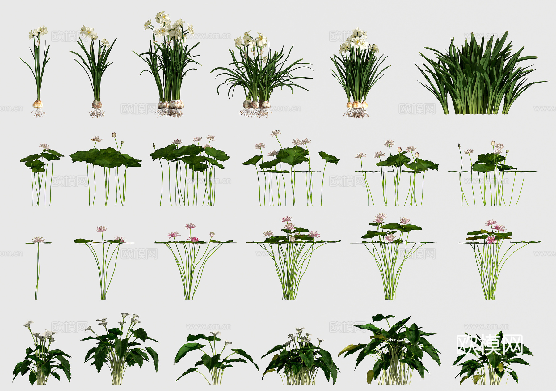 植物 花草3d模型