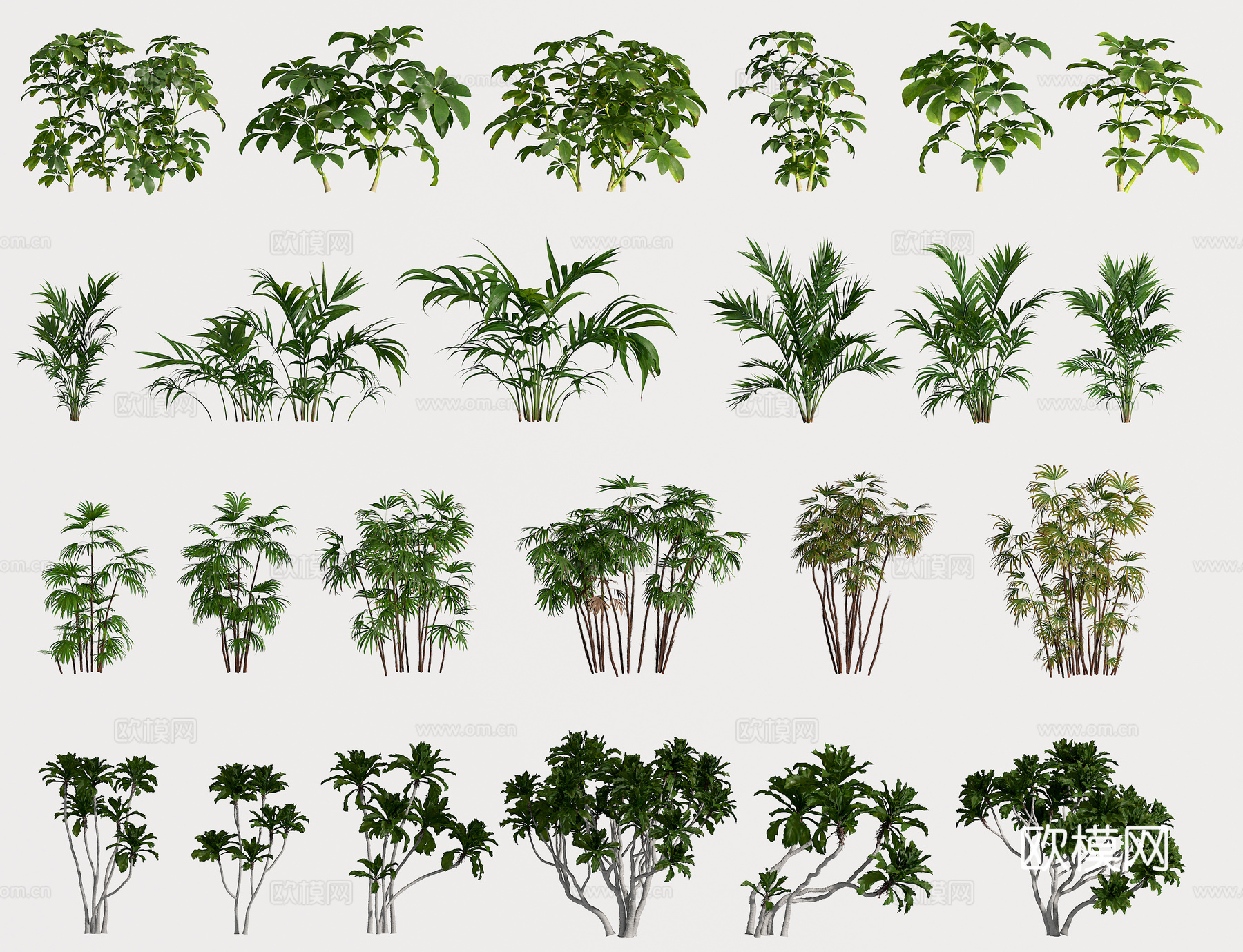 植物 花草3d模型