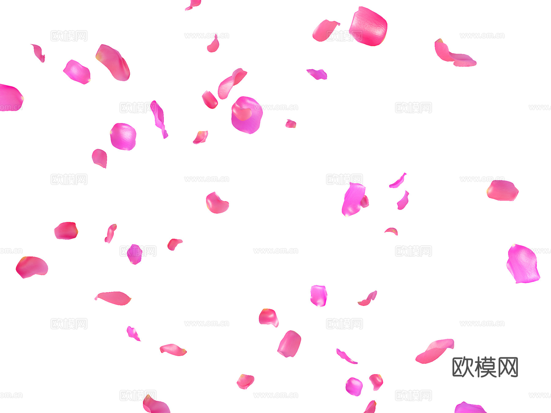 飘落的花瓣 玫瑰花瓣 牡丹花瓣 红花 飘花落 鲜花3d模型下载