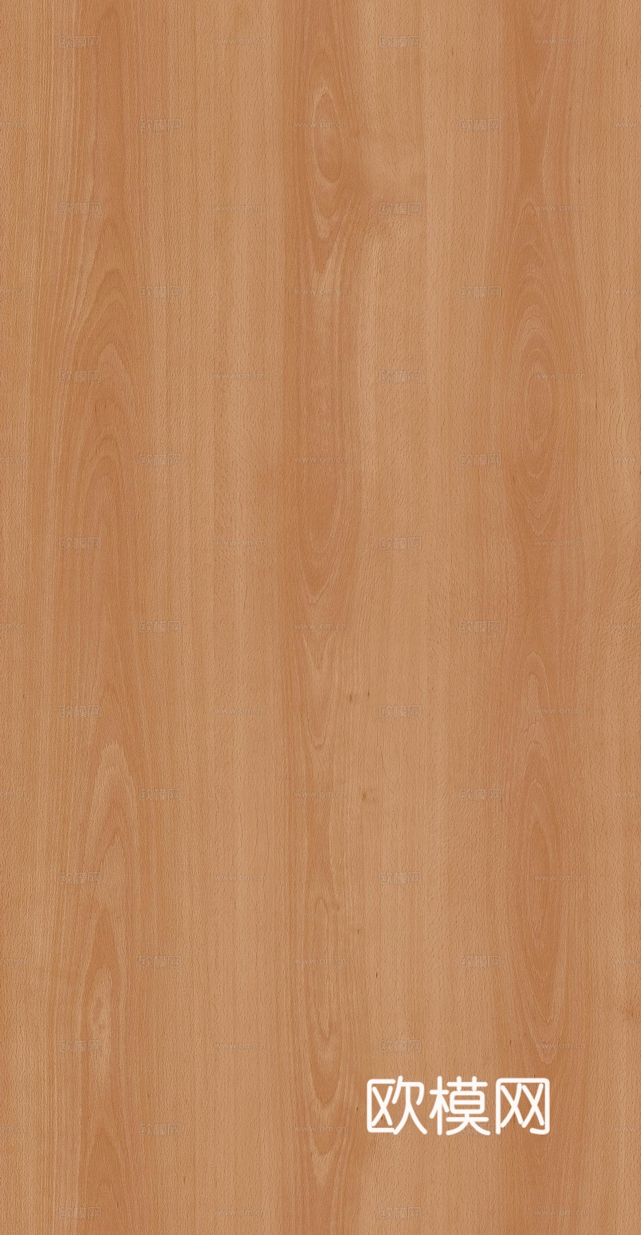 无缝榉木木纹下载
