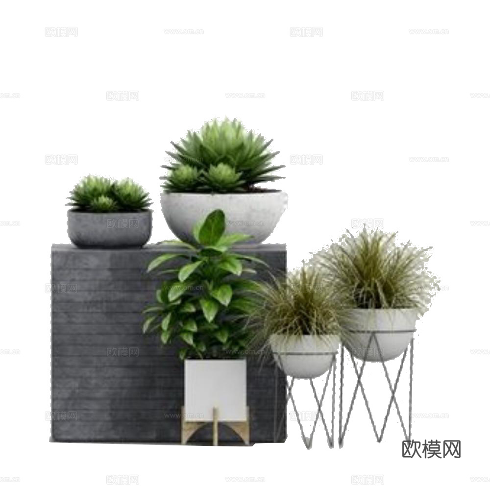 植物组合免抠