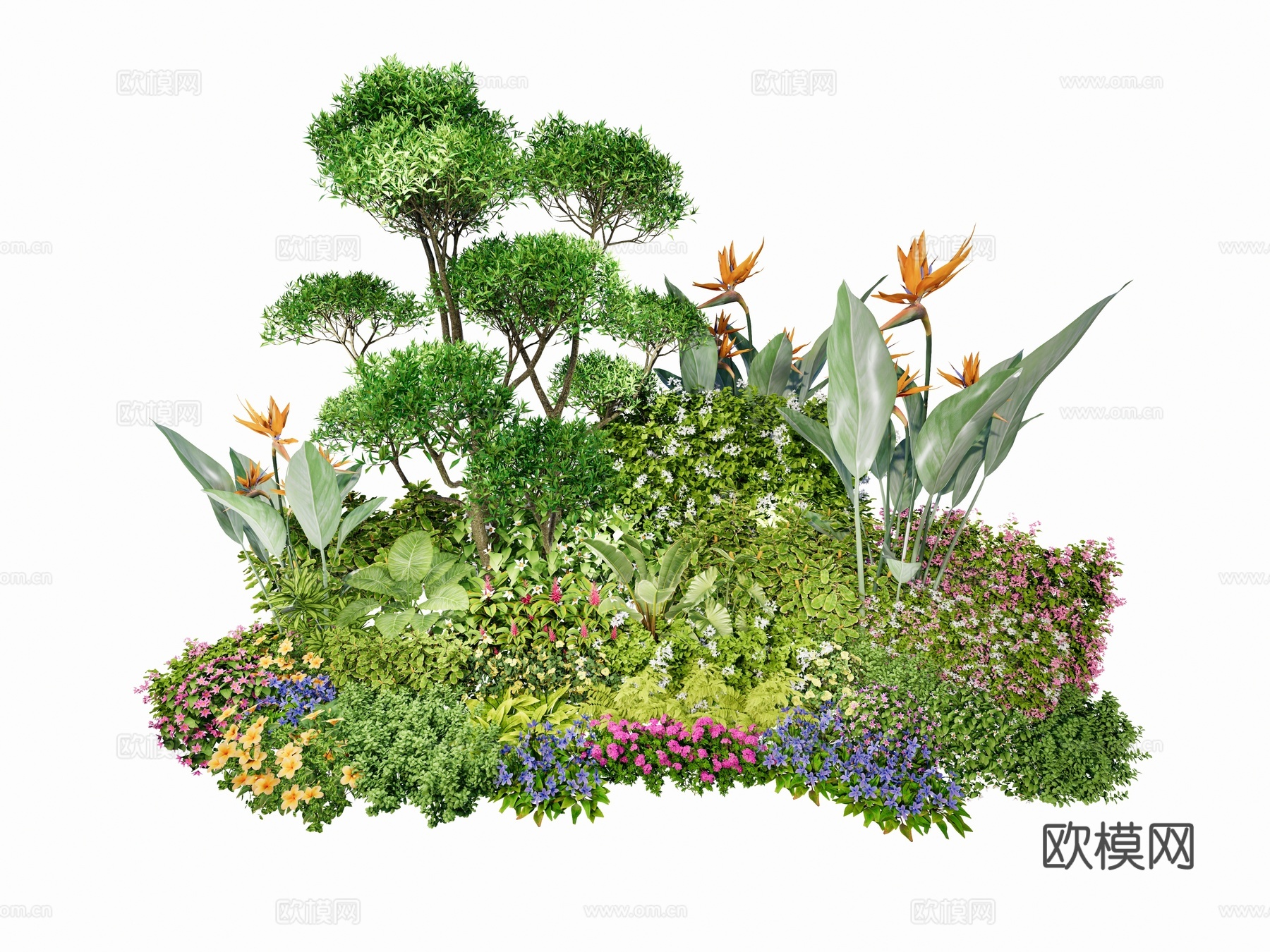 现代英式美式 花草花卉 庭院花草植物 景观花卉 花坛花境组合3d模型