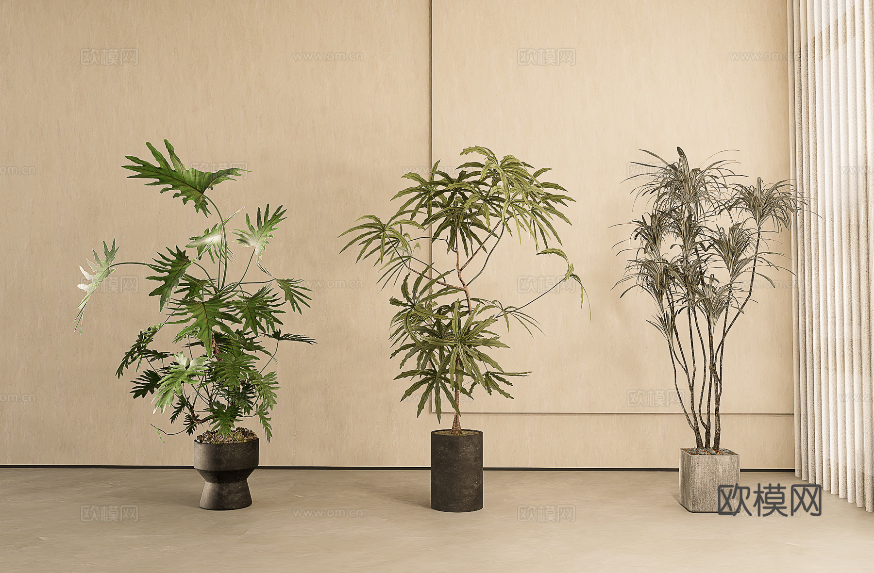 盆栽_春羽盆栽_绿植盆栽_盆景SU模型su模型