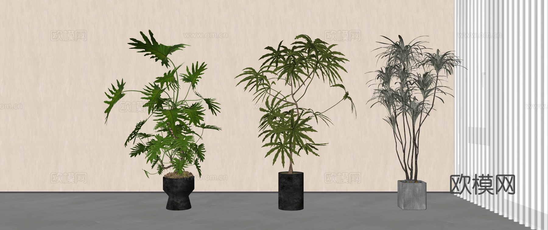 盆栽_春羽盆栽_绿植盆栽_盆景SU模型su模型