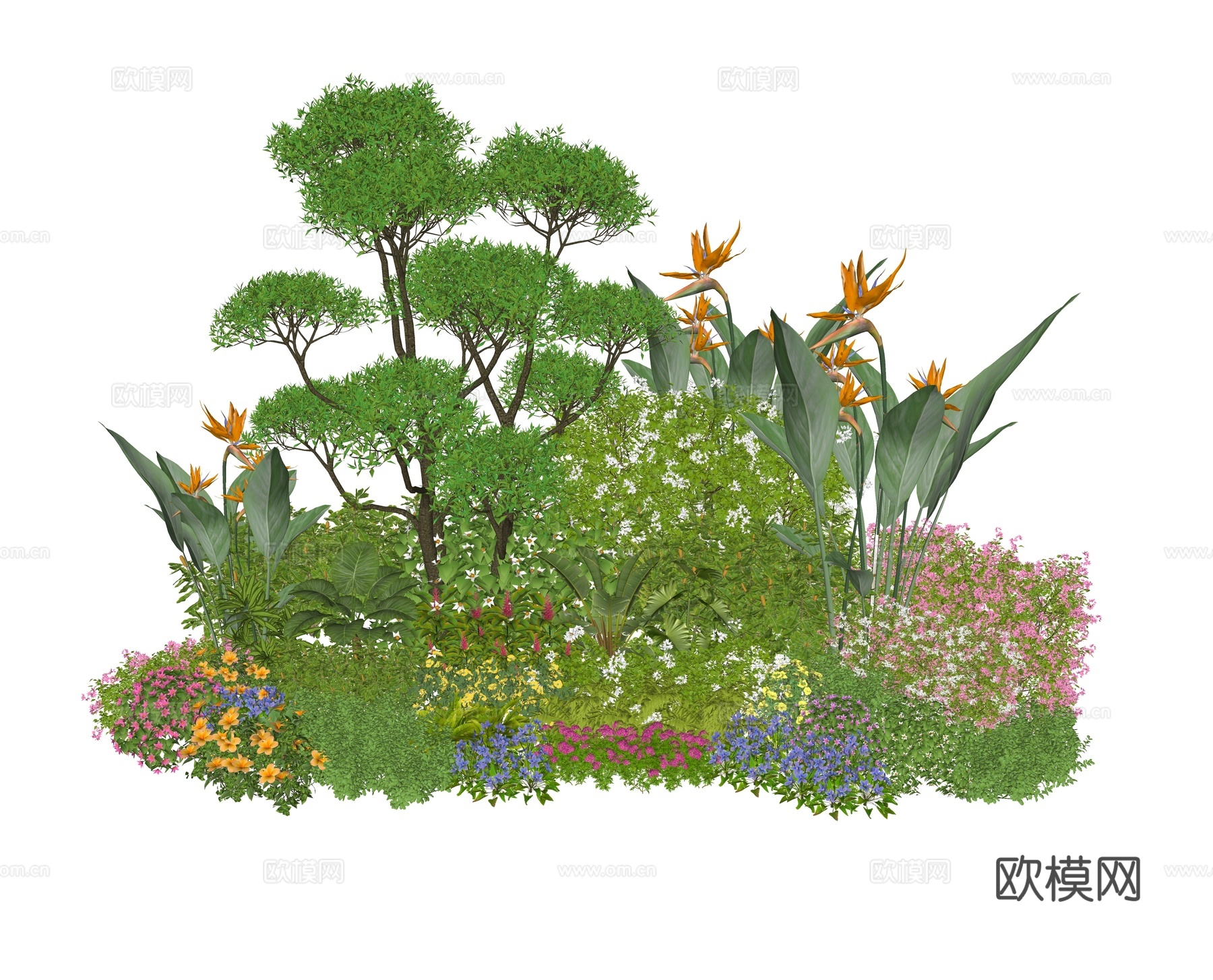 现代英式美式 花草花卉 庭院花草植物 景观花卉 花坛花境su模型