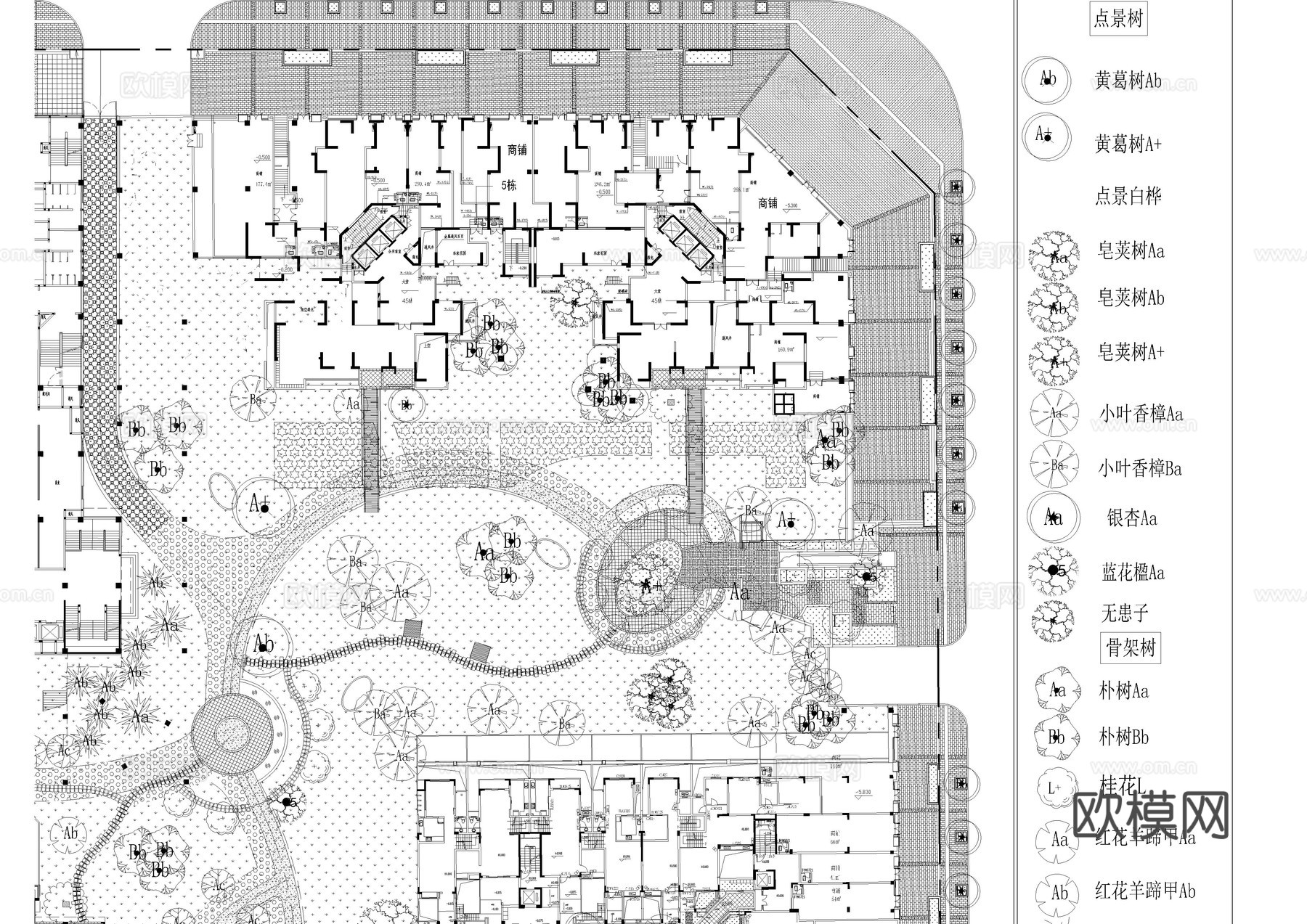 成都景观植物平面方案图cad施工图