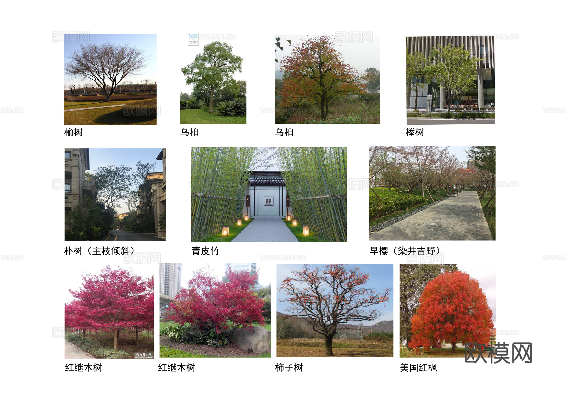 长沙A地块植物CAD平面施工图cad施工图