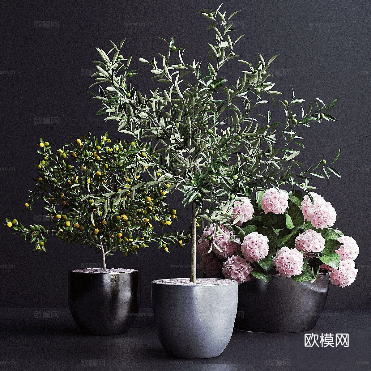 装饰，树木3d模型