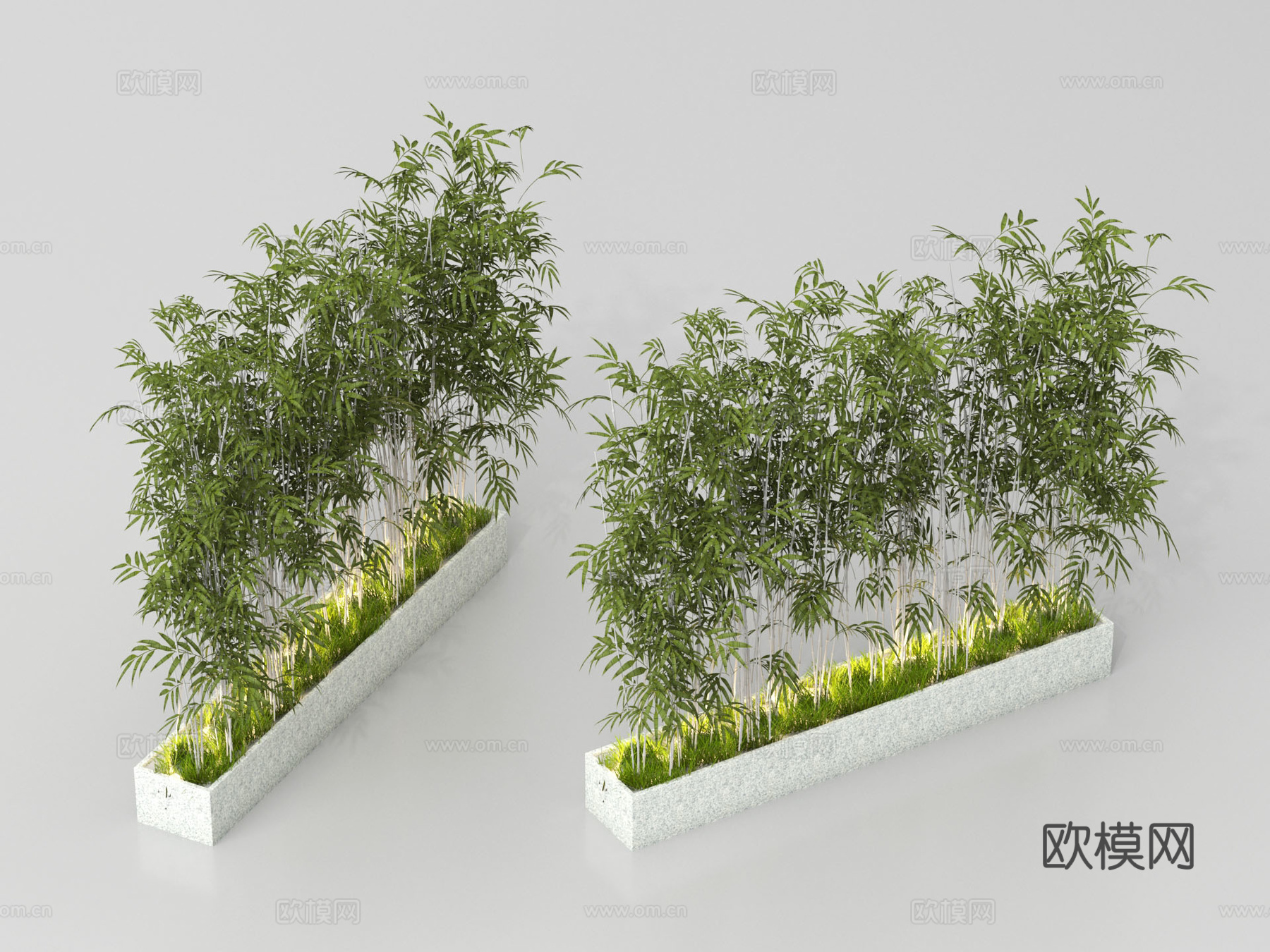 竹子 盆栽竹子 树池竹子 庭院小品 花池花坛 庭院竹su模型