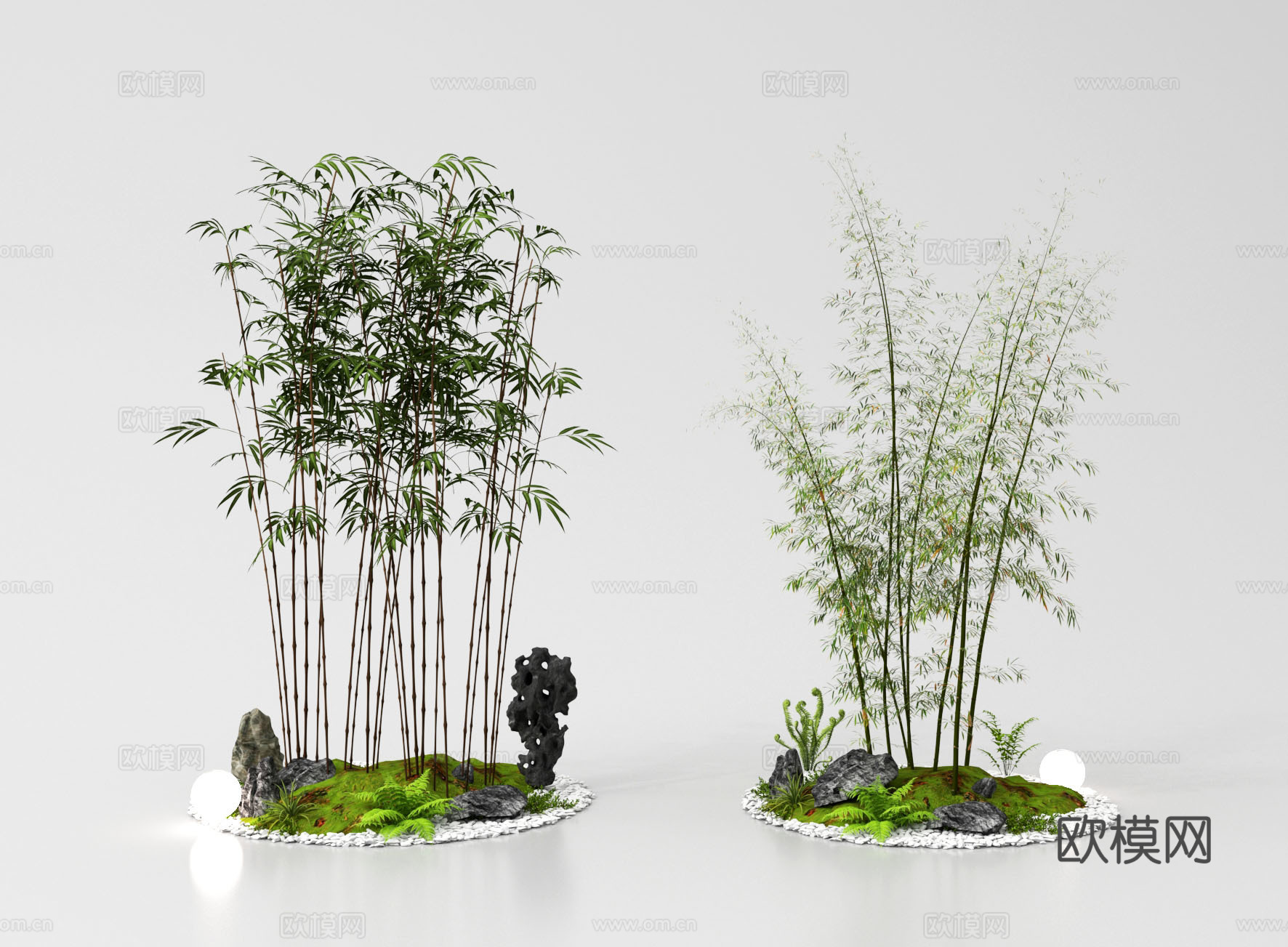 竹子  景观竹 罗汉竹 庭院竹 庭院小品su模型