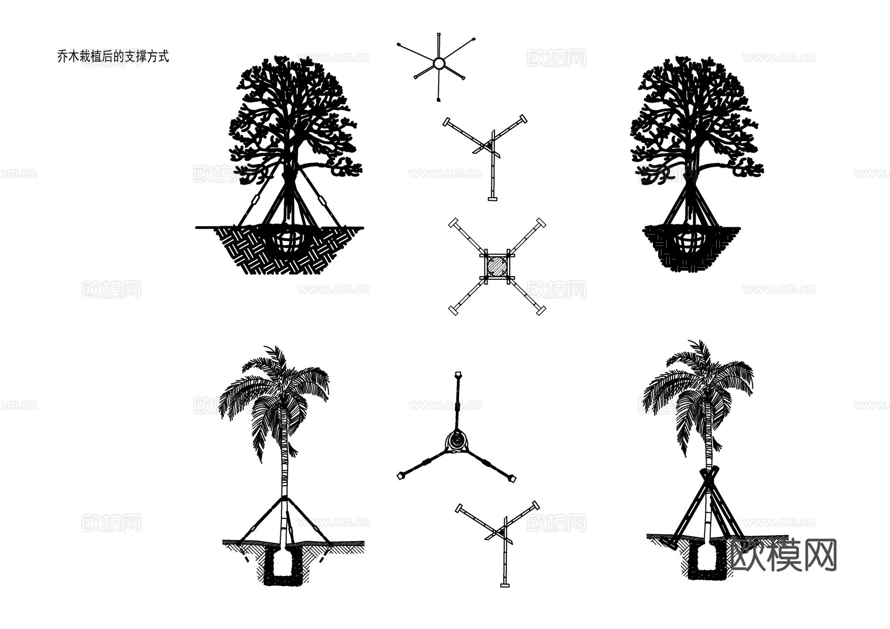 植物施工工艺图库cad施工图