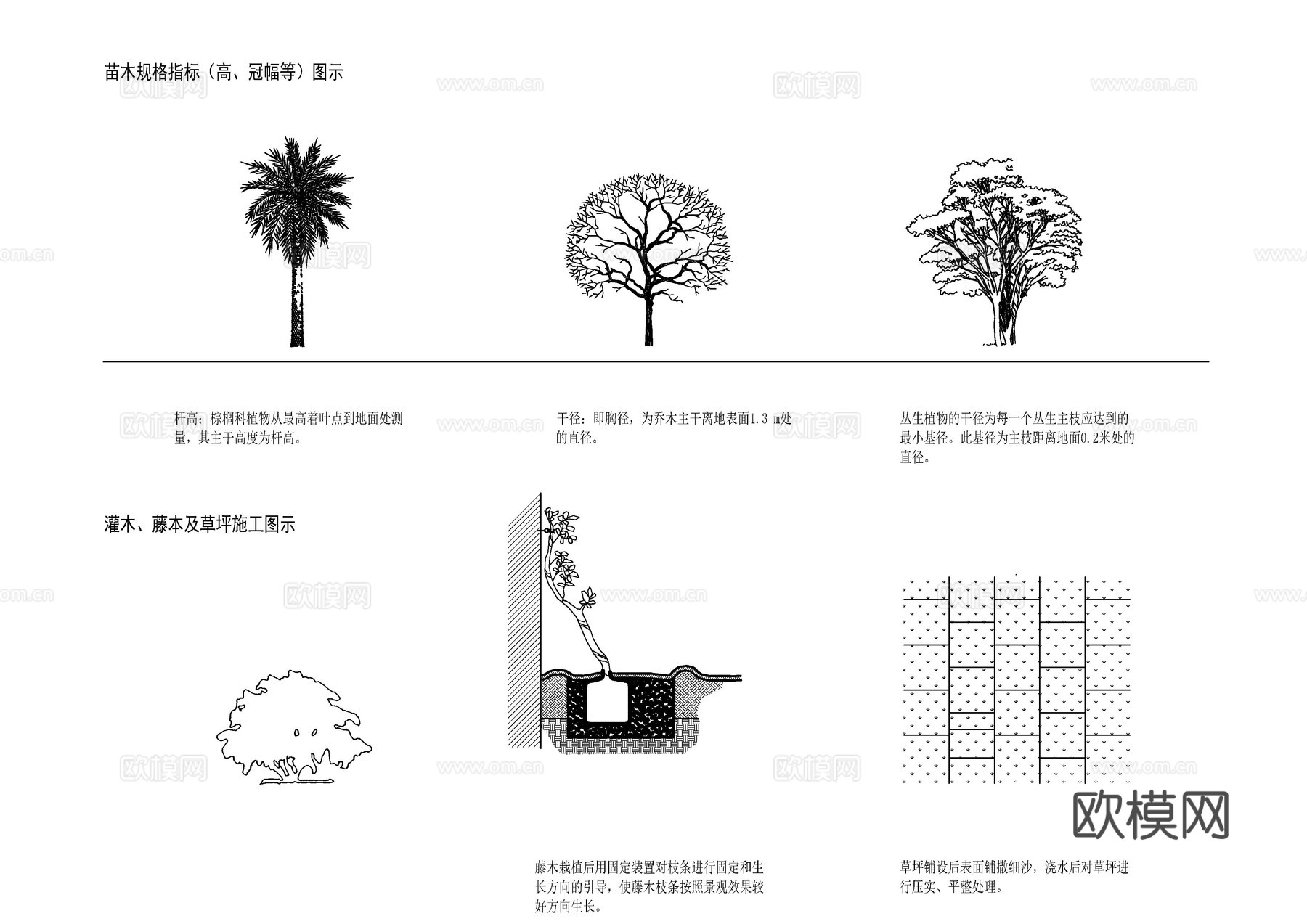 植物施工工艺图库cad施工图