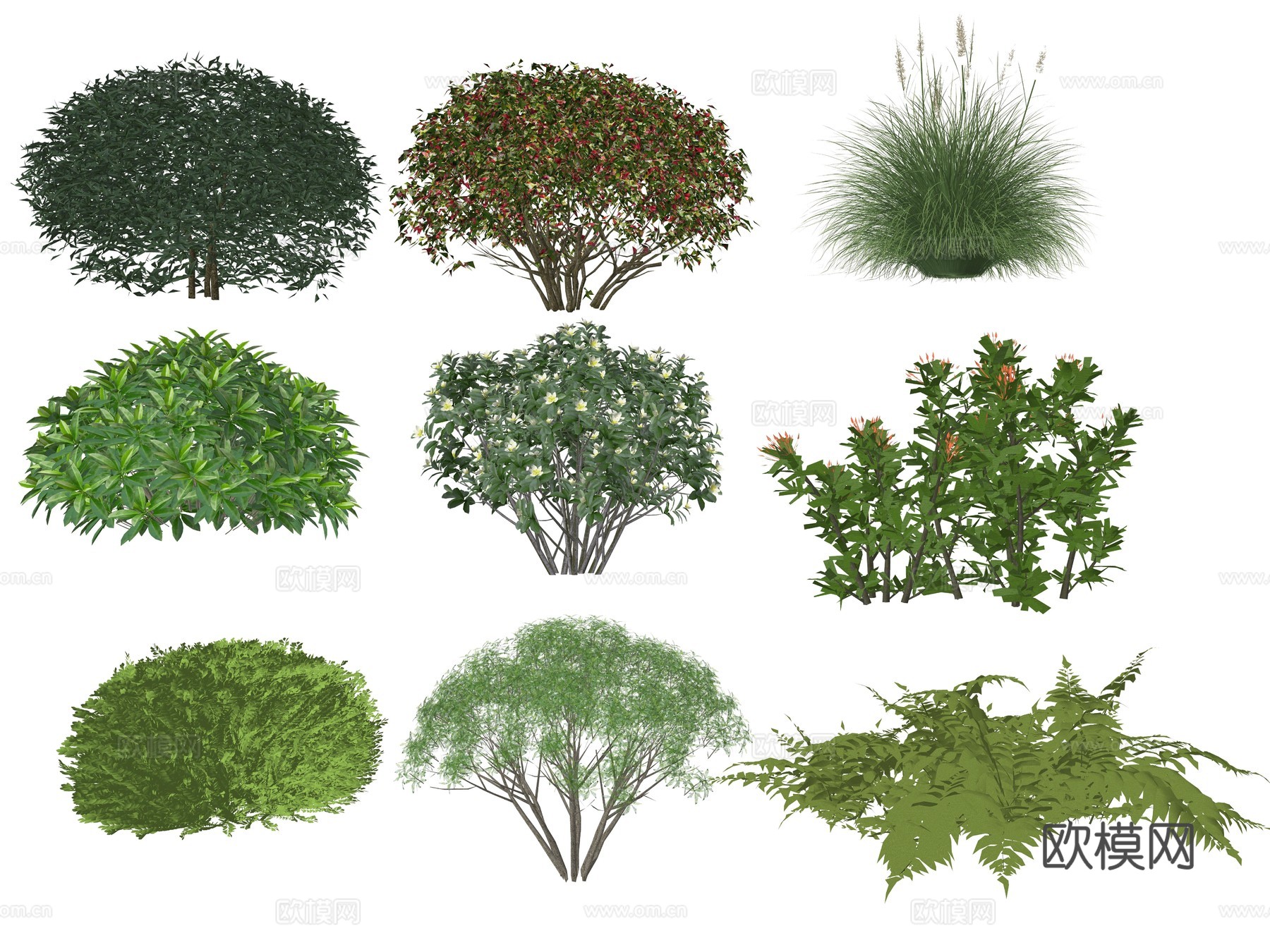现代灌木植物组合su模型