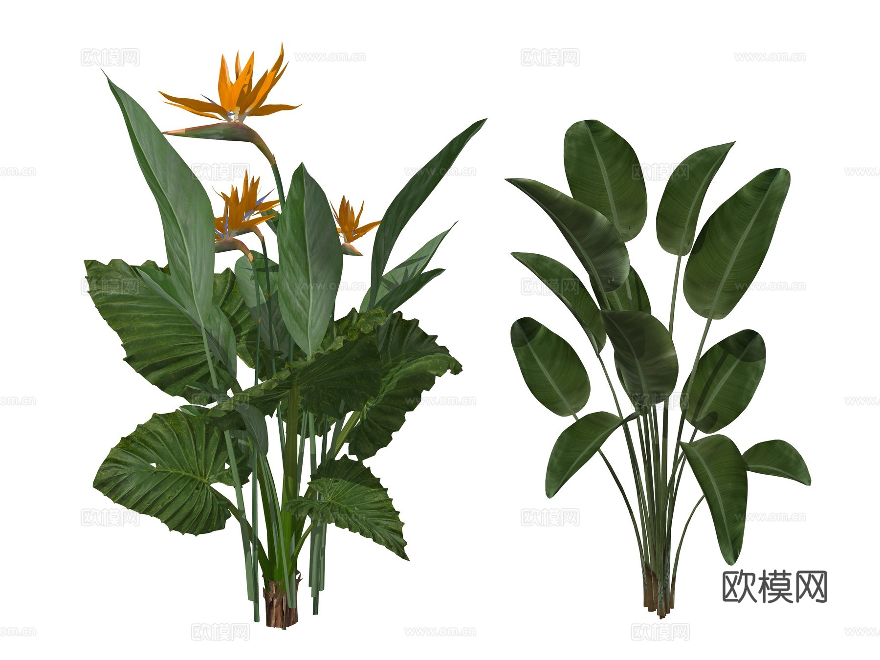 现代灌木植物su模型