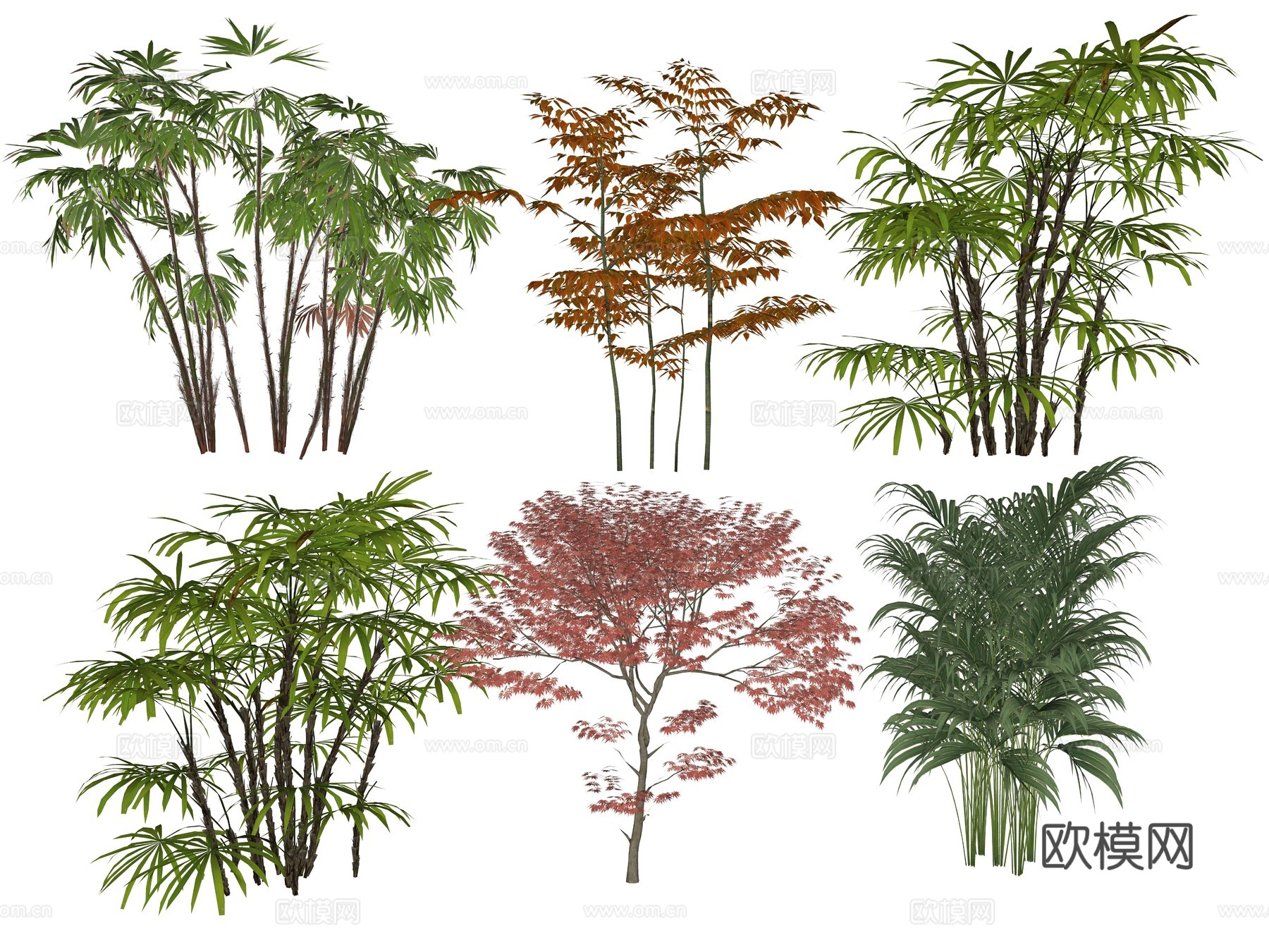 现代灌木植物su模型