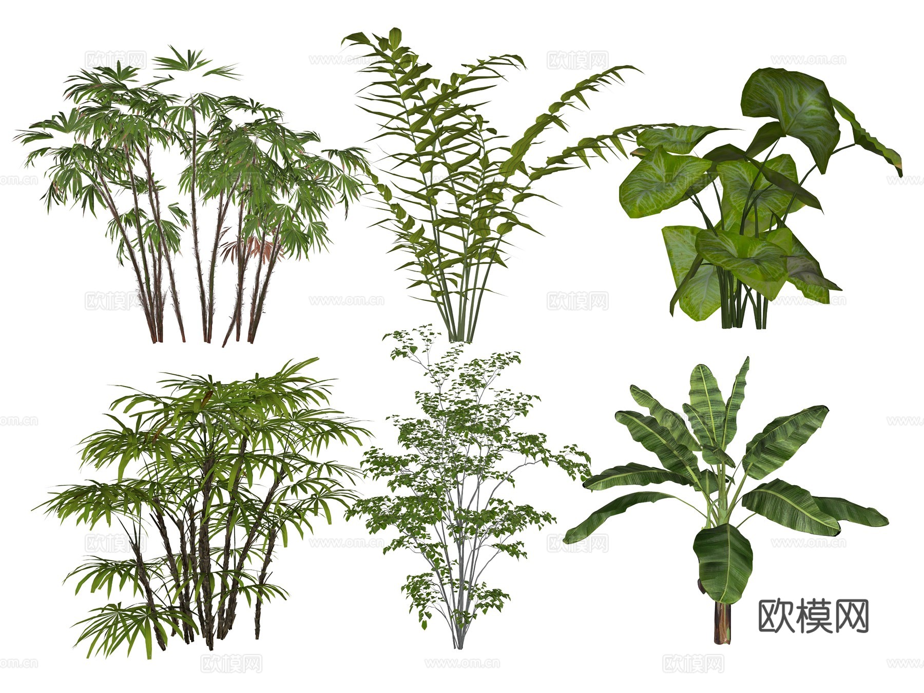 现代灌木植物su模型