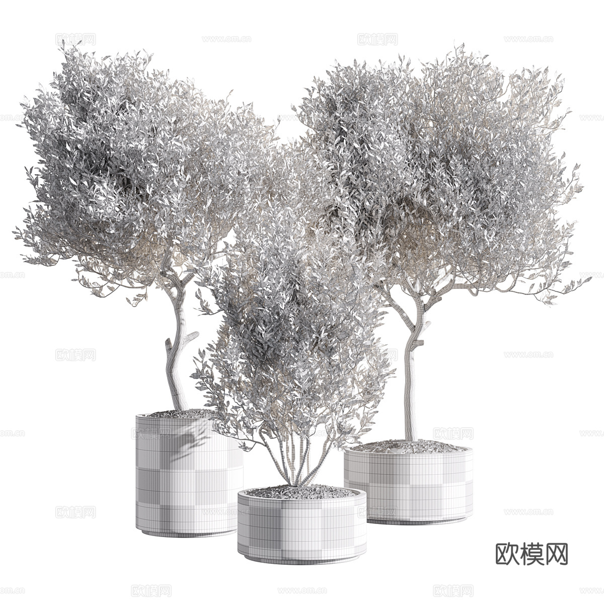 新中式绿植盆栽3d模型下载（渲染图5）