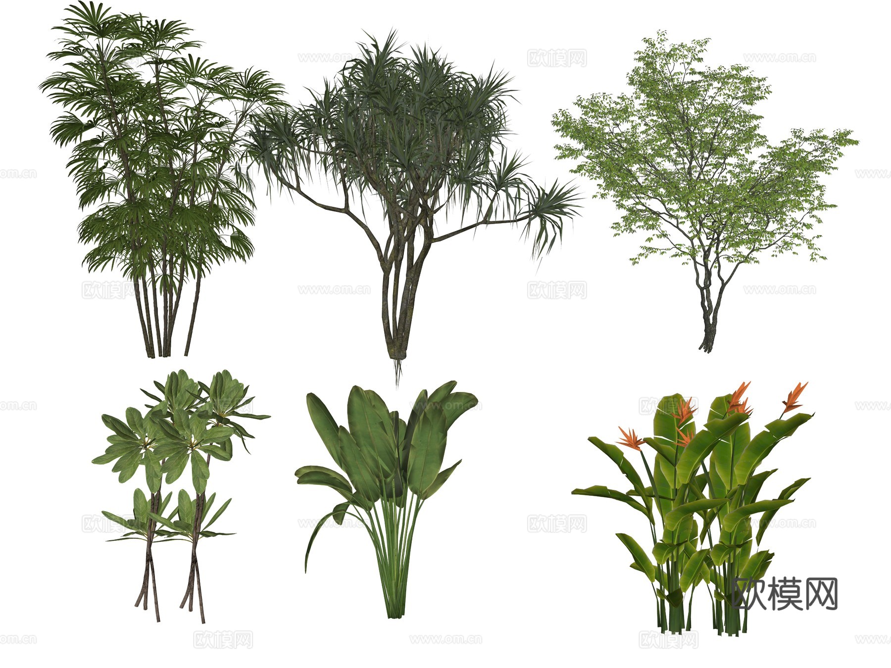现代灌木植物su模型