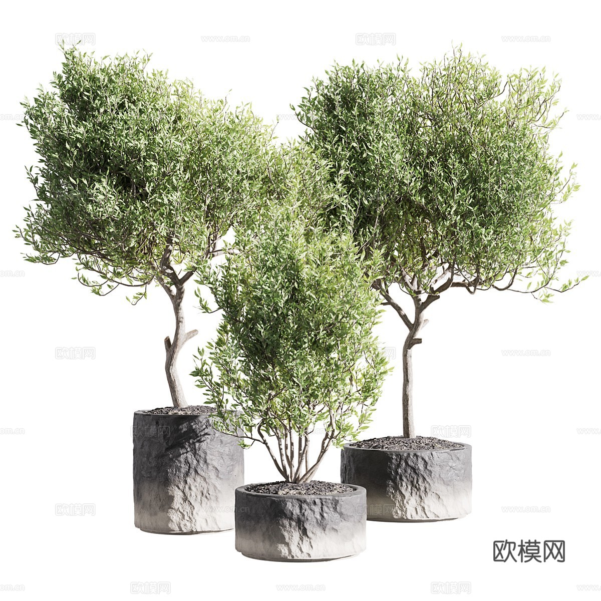 新中式绿植盆栽3d模型下载（渲染图1）