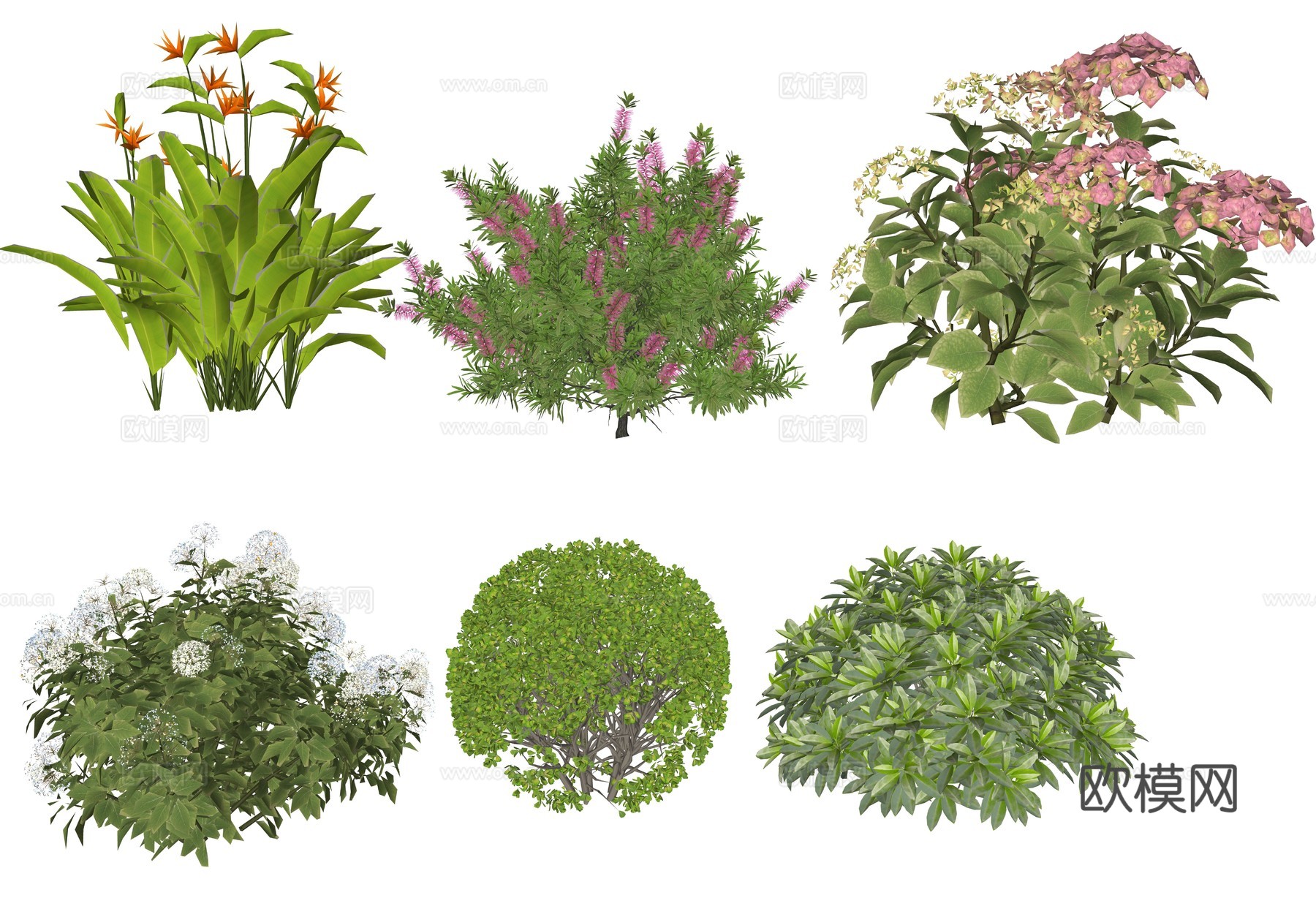 现代植物花卉组合su模型