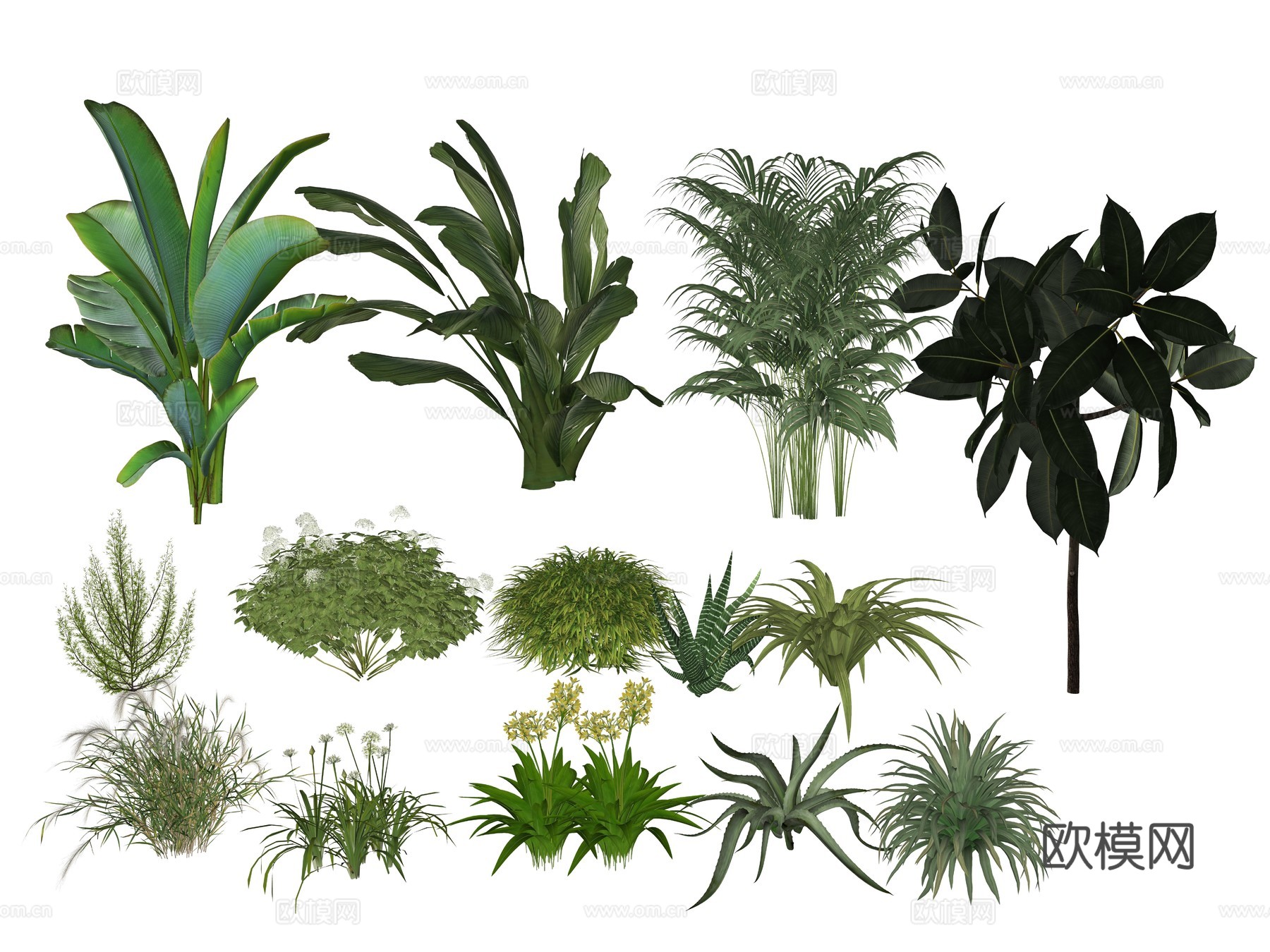 现代植物花卉组合su模型