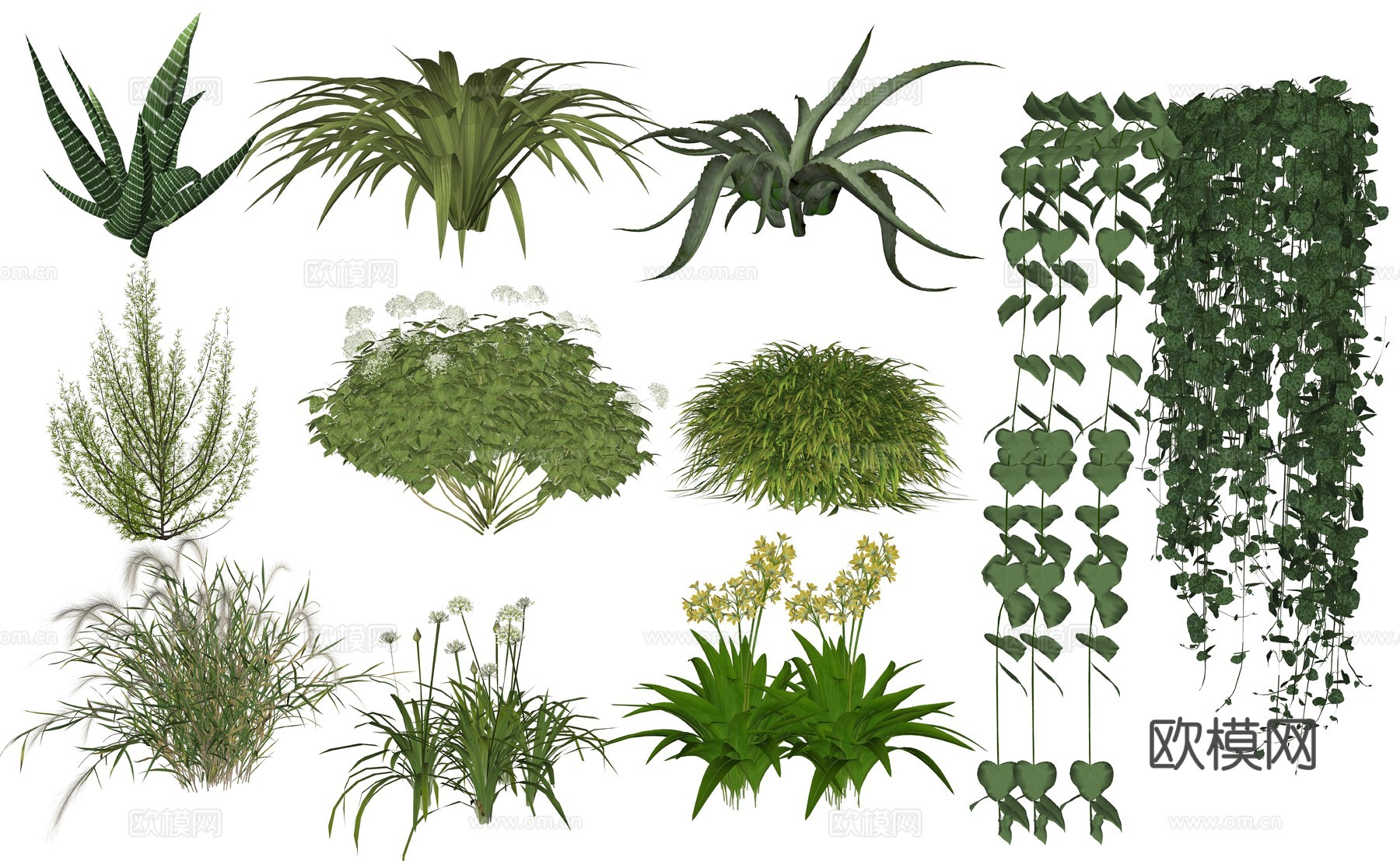 现代植物花卉组合su模型