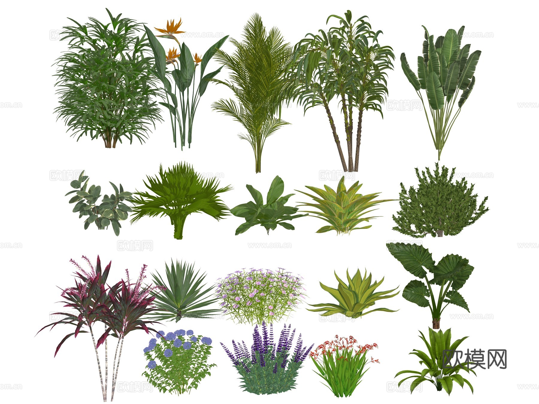 现代庭院花草植物组合su模型