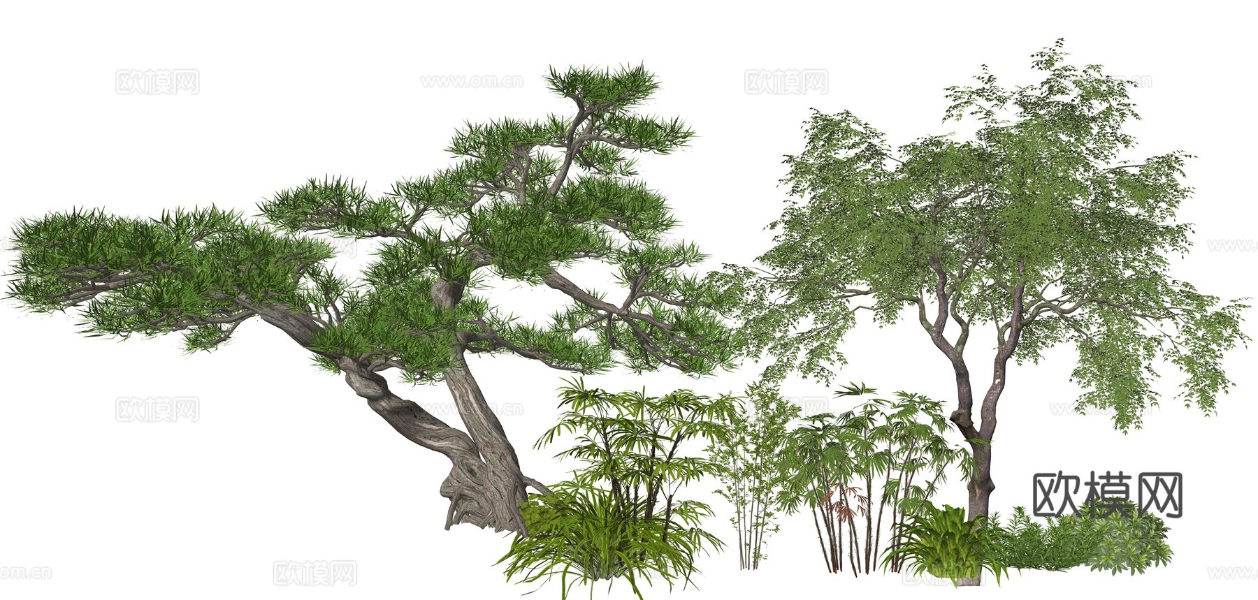 新中式造型松植物su模型