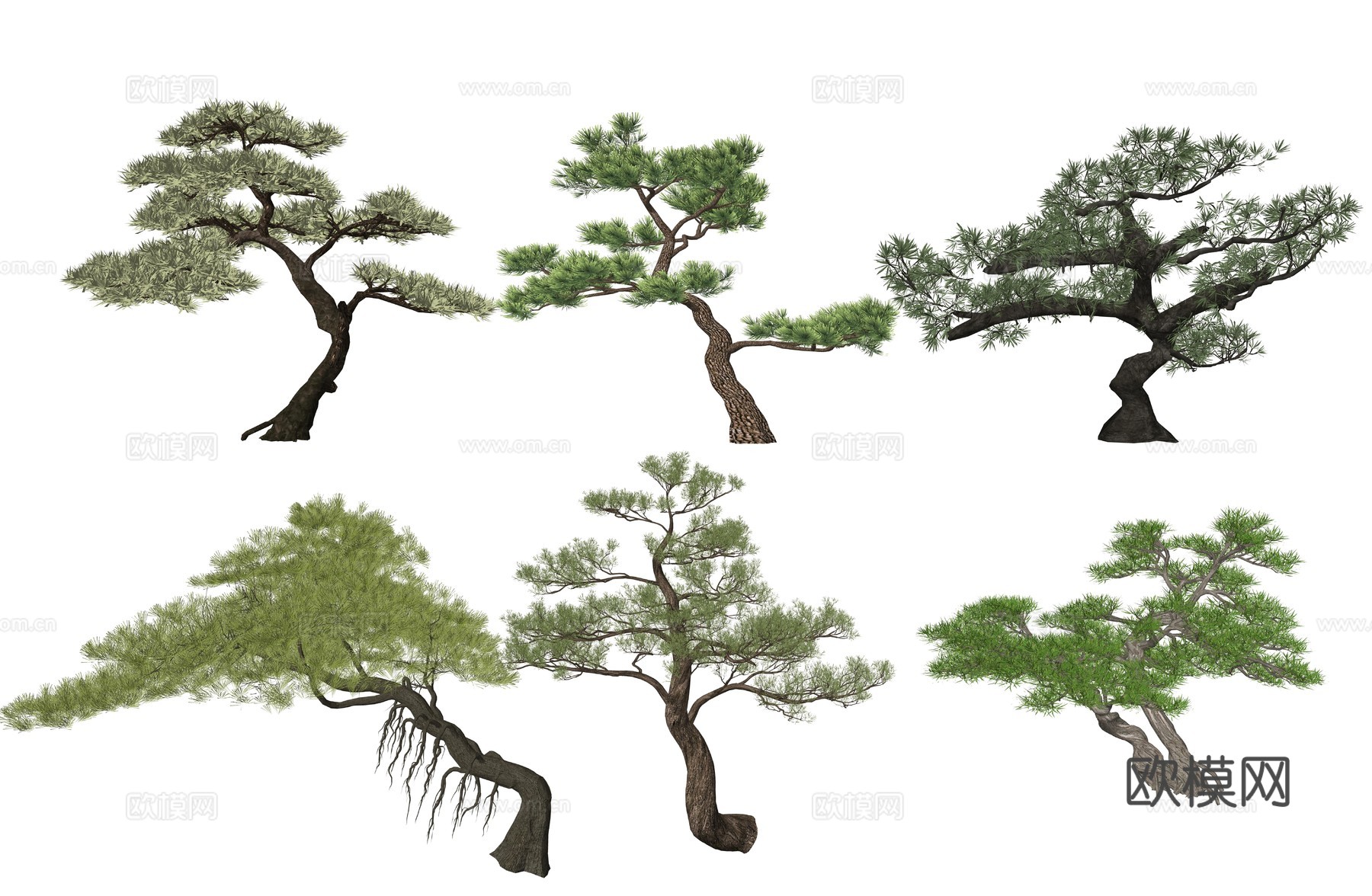 新中式造型松植物树su模型