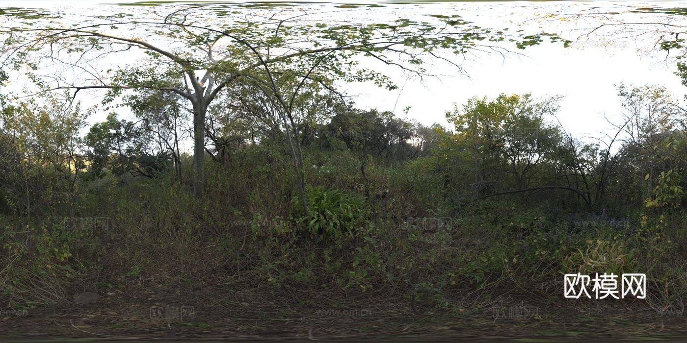 户外hdr