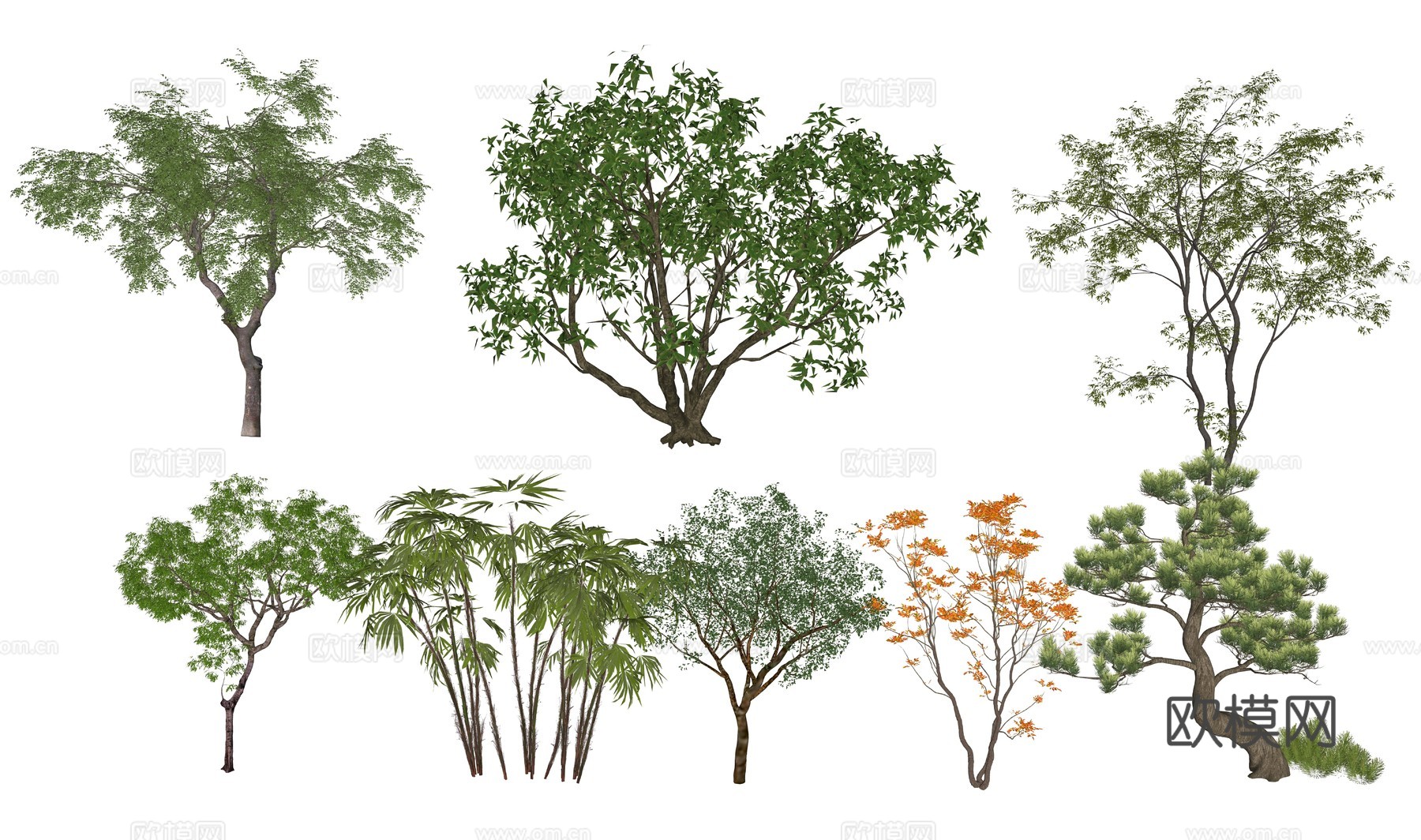 现代景观植物树su模型