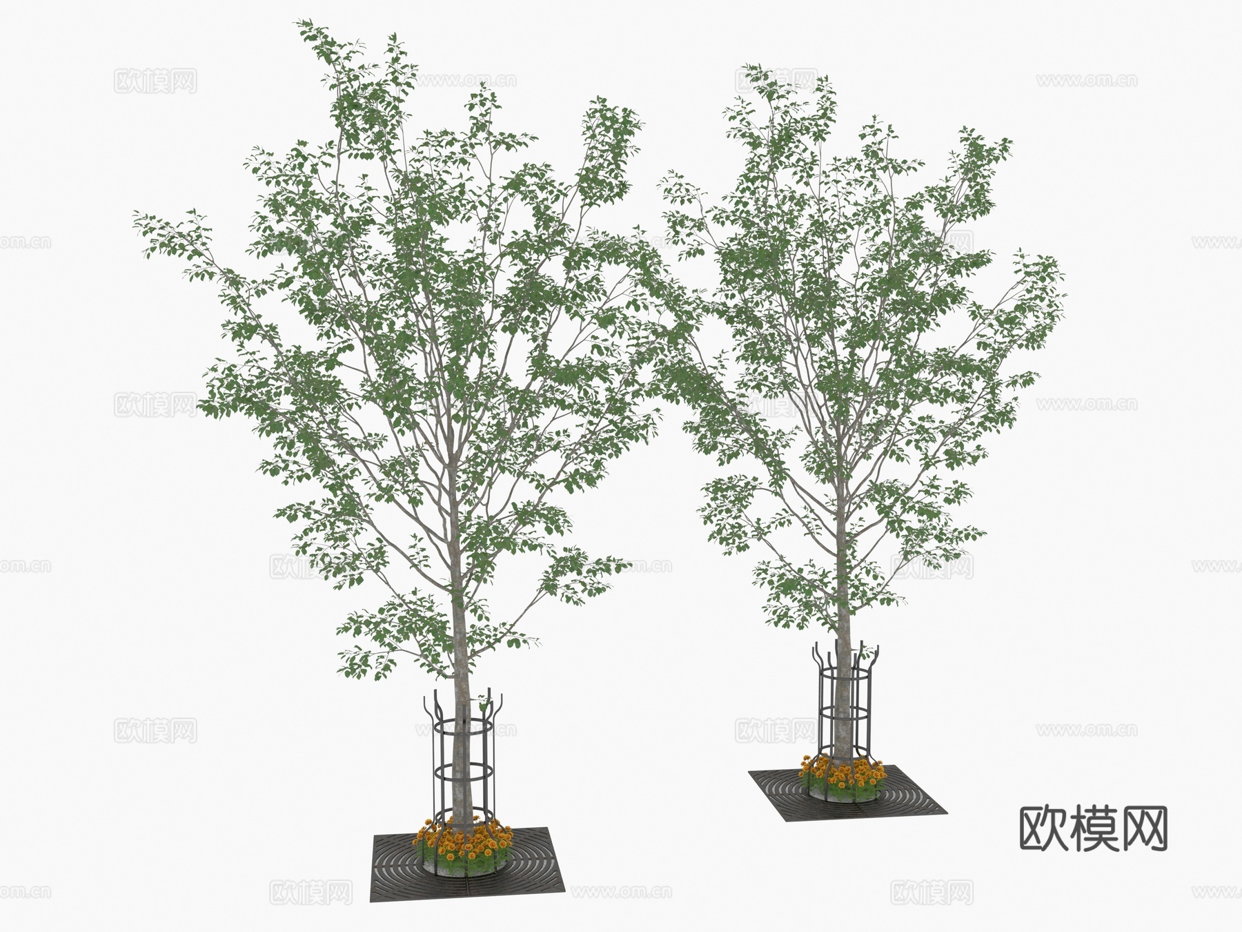 植物 树木3d模型